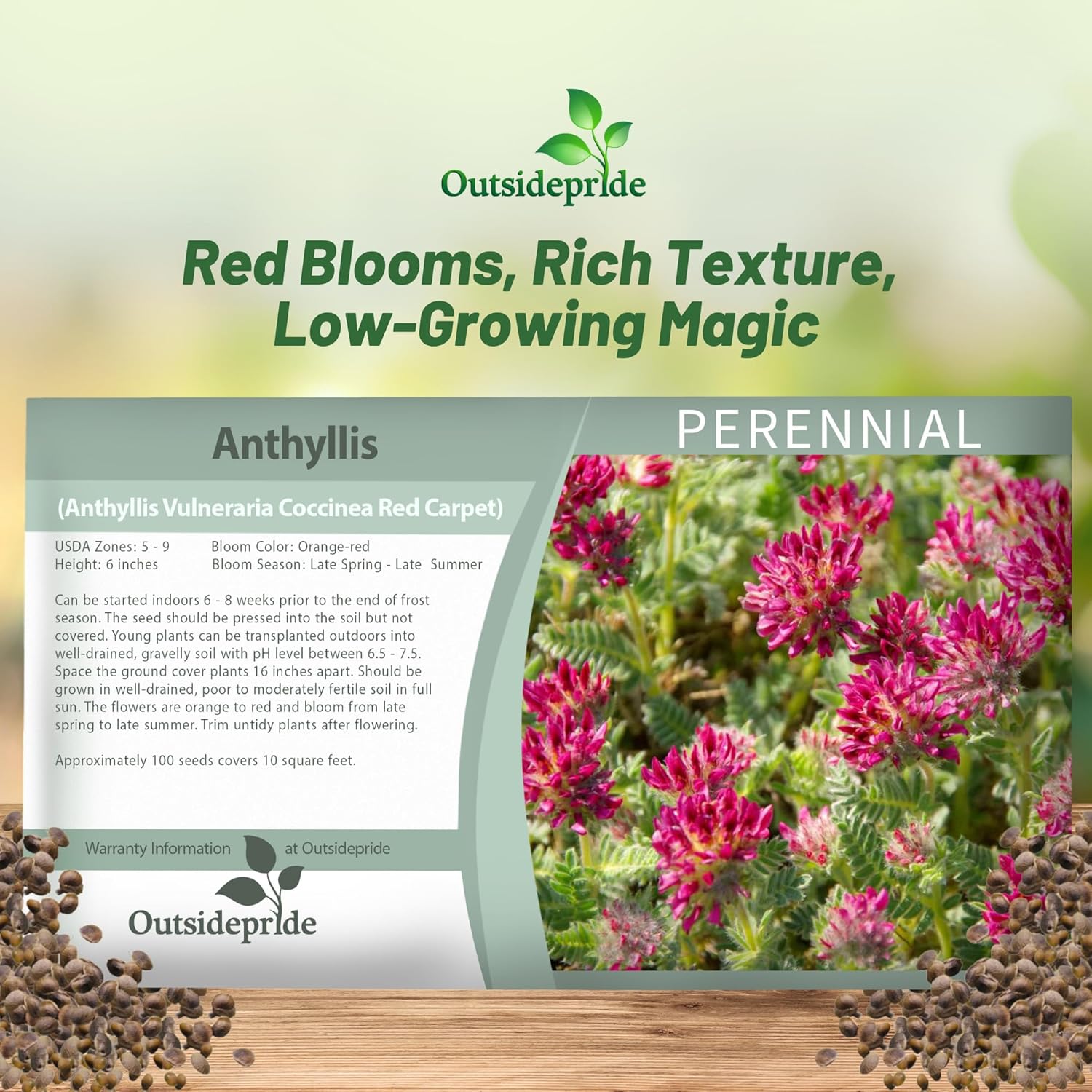 Anthyllis Ground Cover Seed Packet