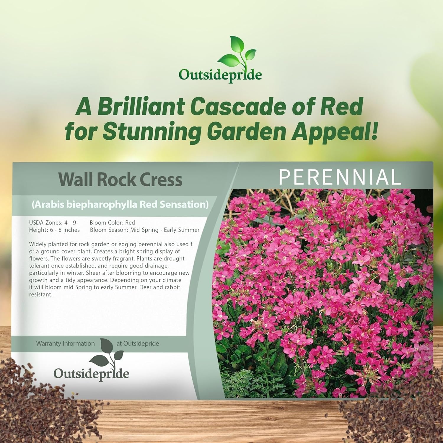 Arabis Red Sensation Seed Packet