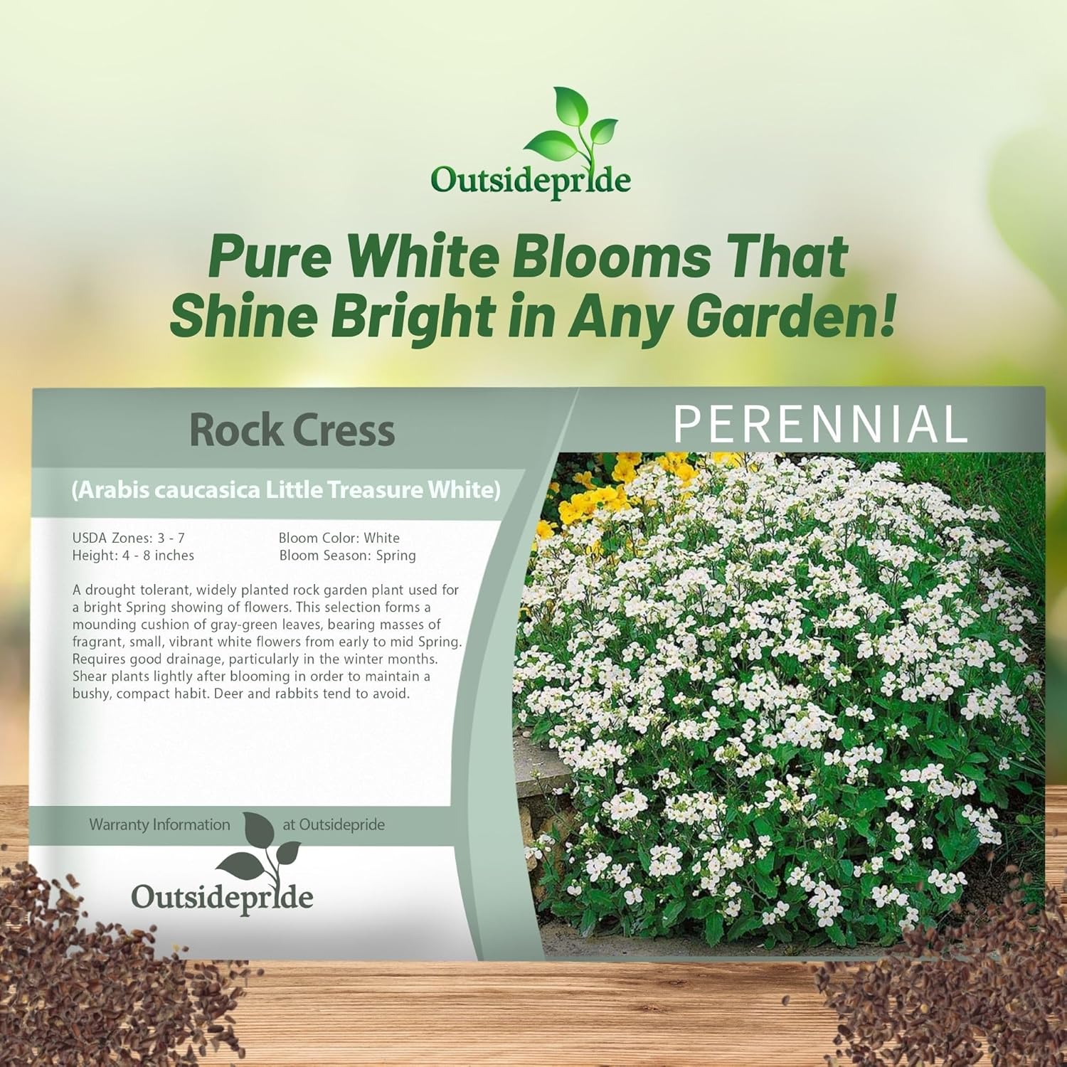 Arabis Little Treasure White Seed Packet