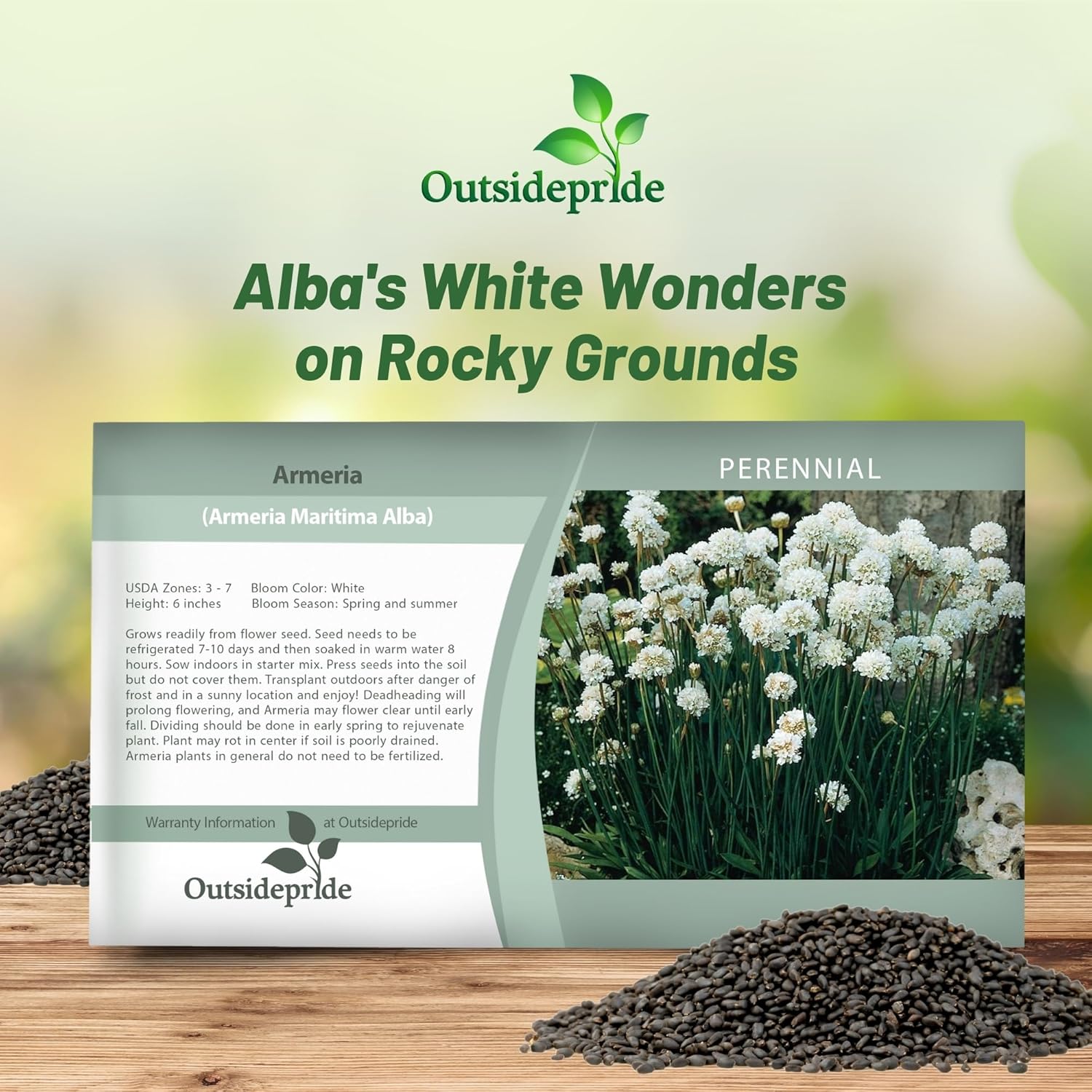 Armeria Alba Flower Seed Packet