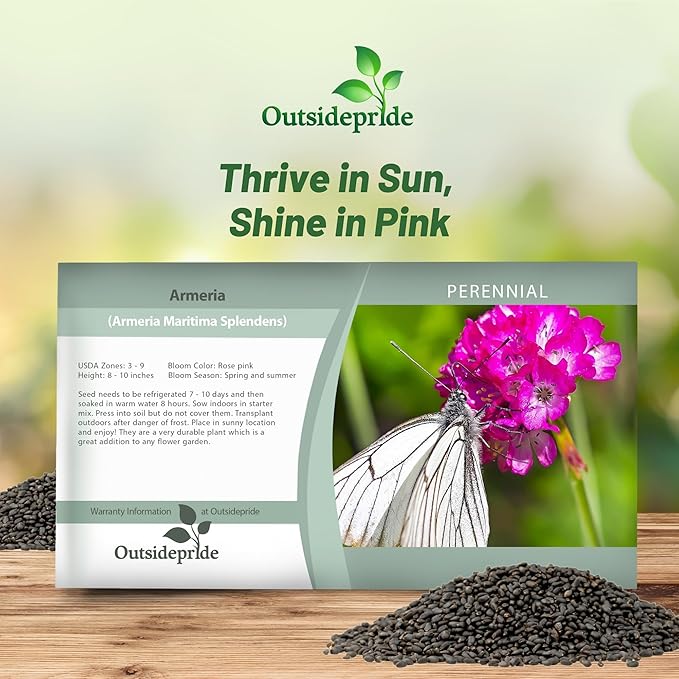 Armeria Splendens Flower Seed Packet