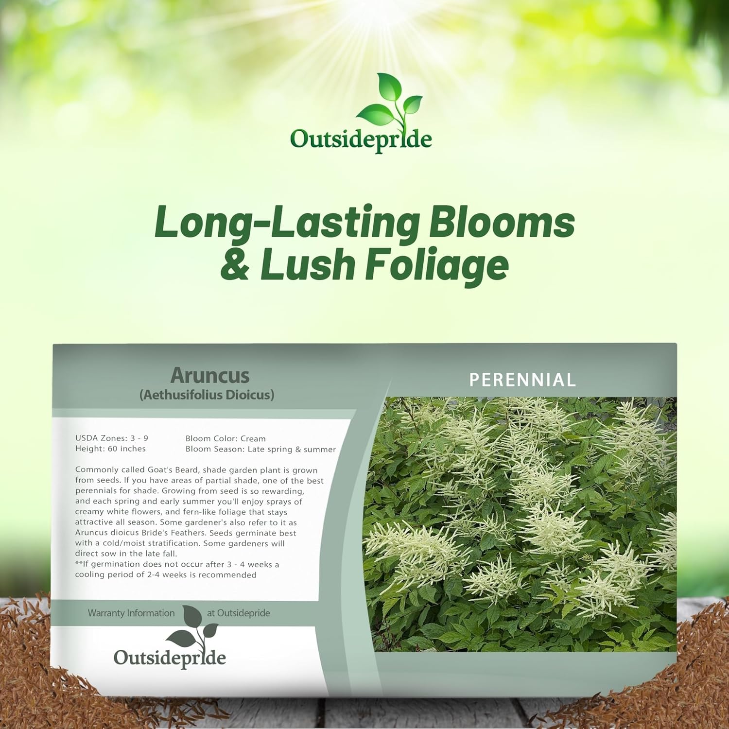 Aruncus Dioicus Flower Seed Packet