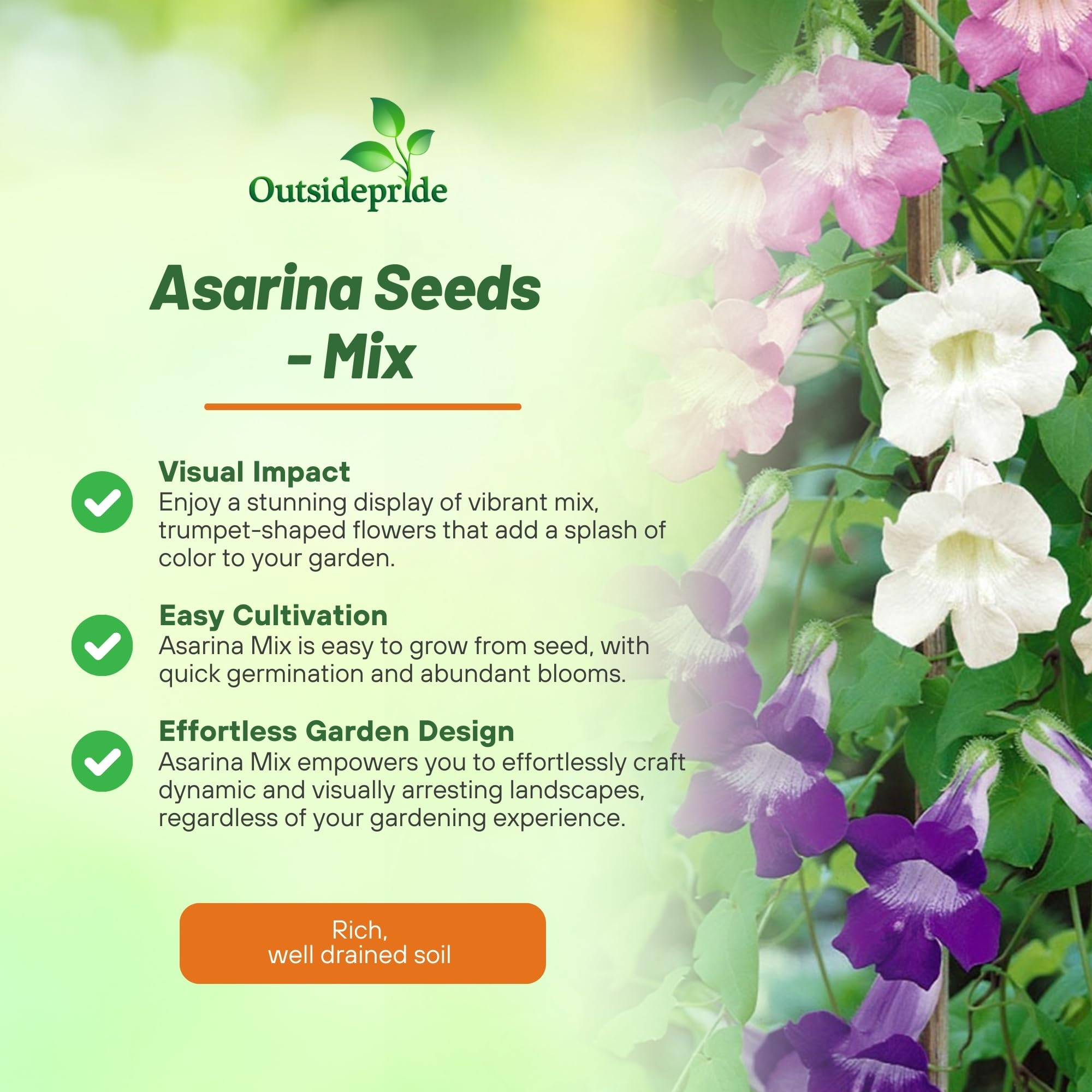 Climbing Snapdragon Flower Seed Mix