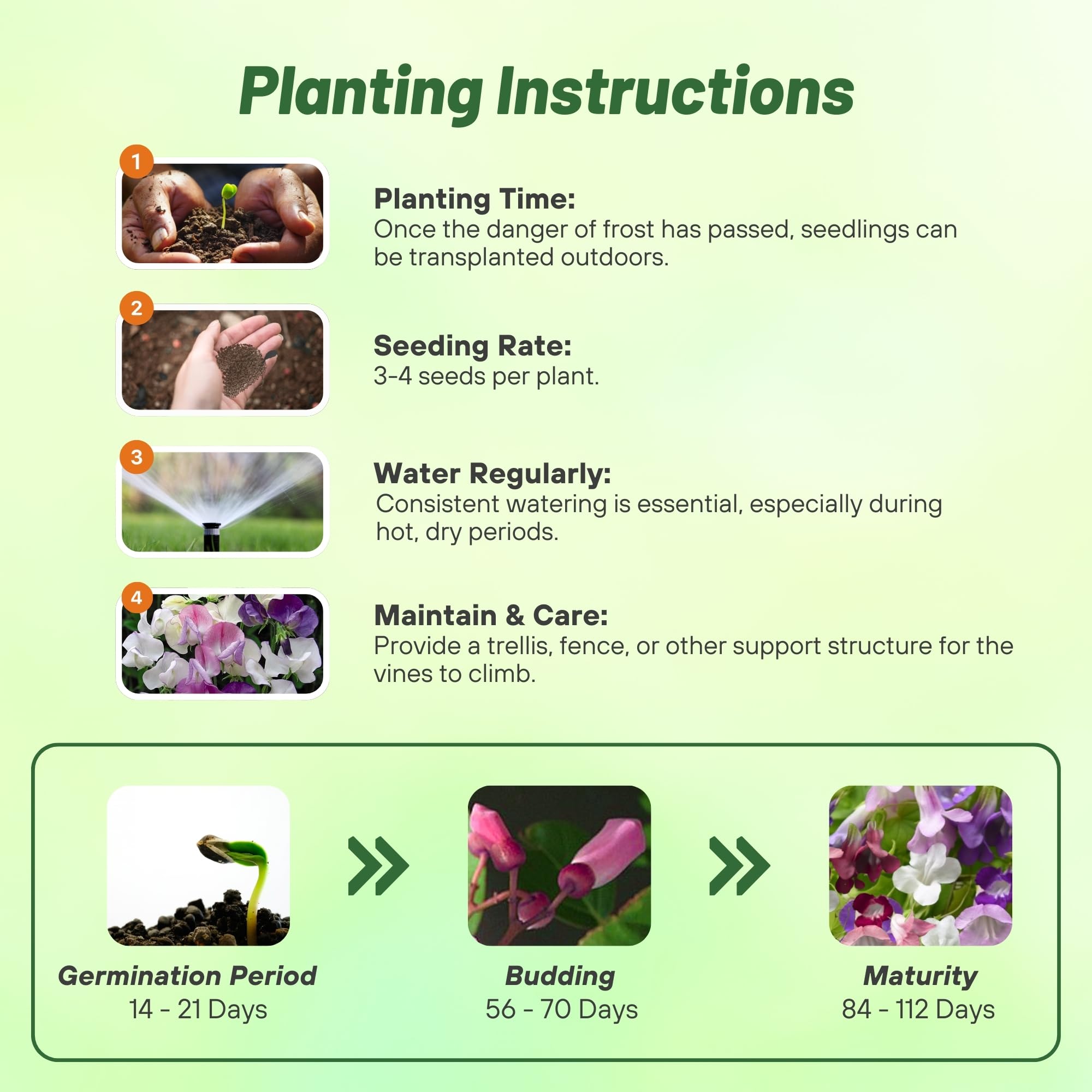 Asarina Mix Planting Directions class=