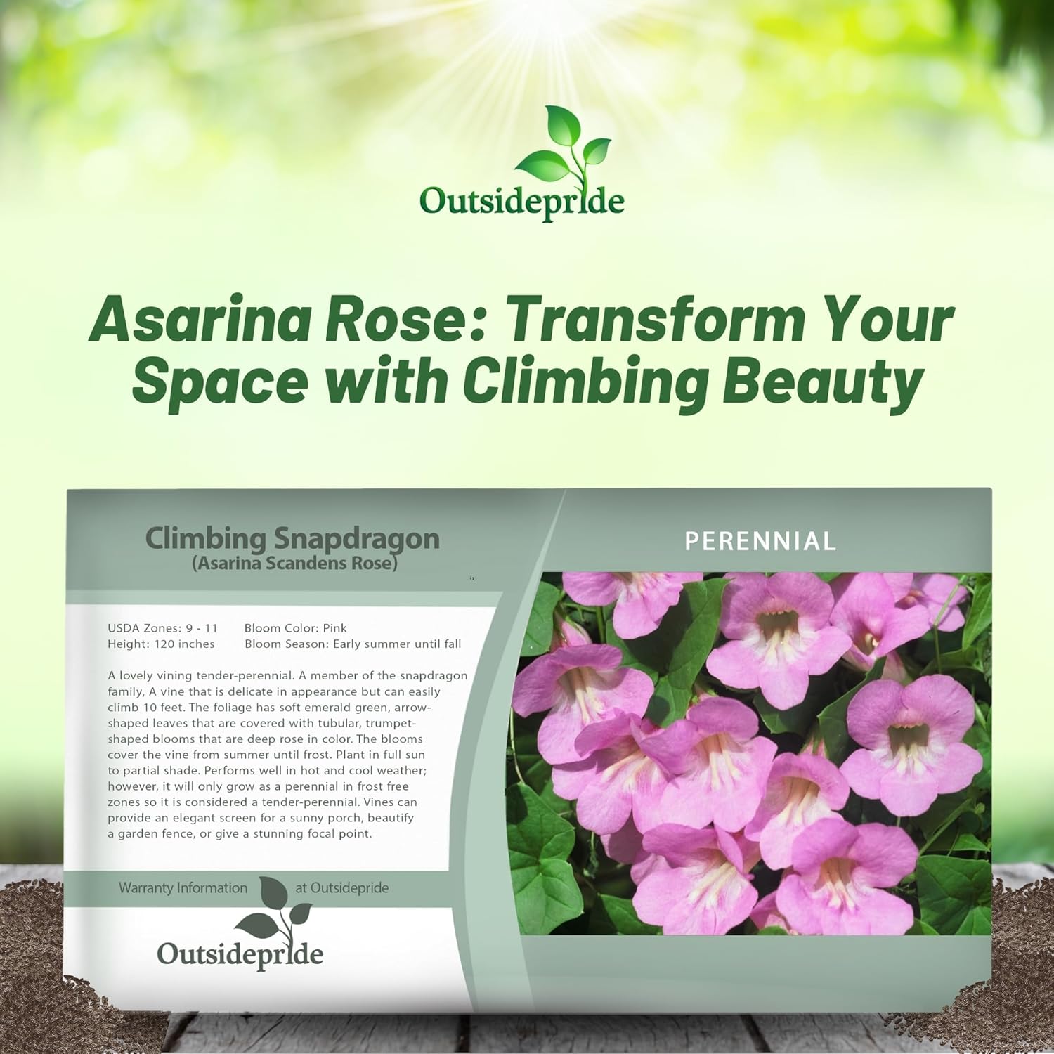 Rose Climbing Snapdragon Seed Packet