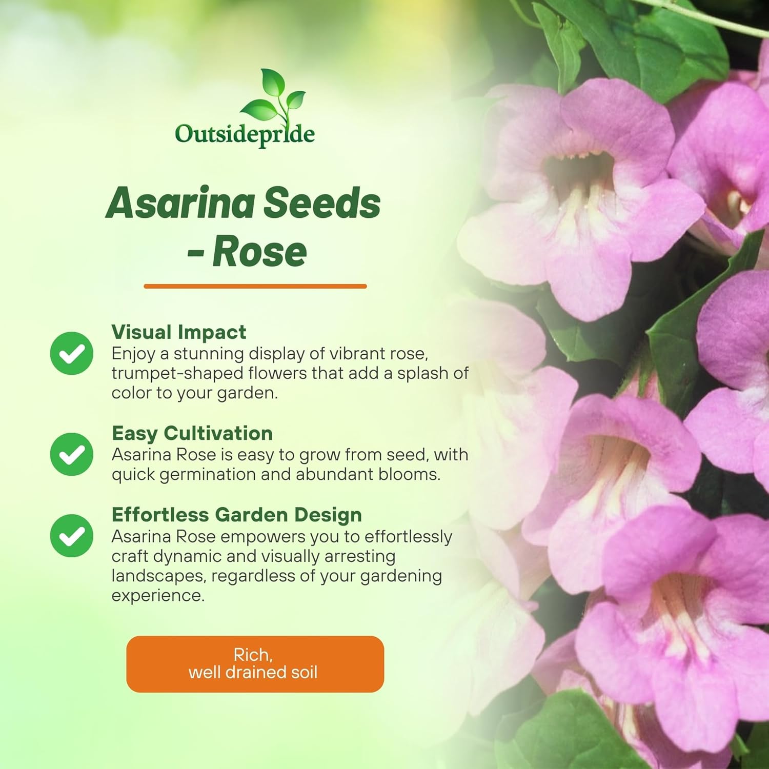 Climbing Snapdragon Rose Trellis