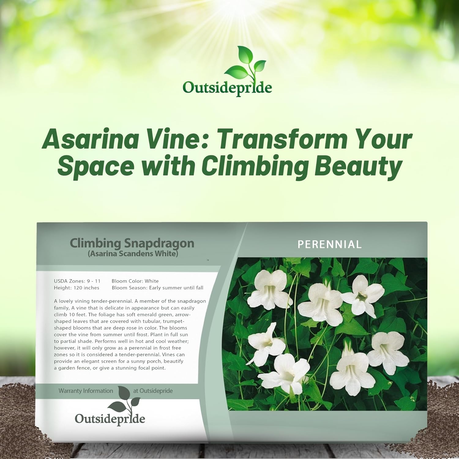 Climbing Snapdragon White Seed Packet