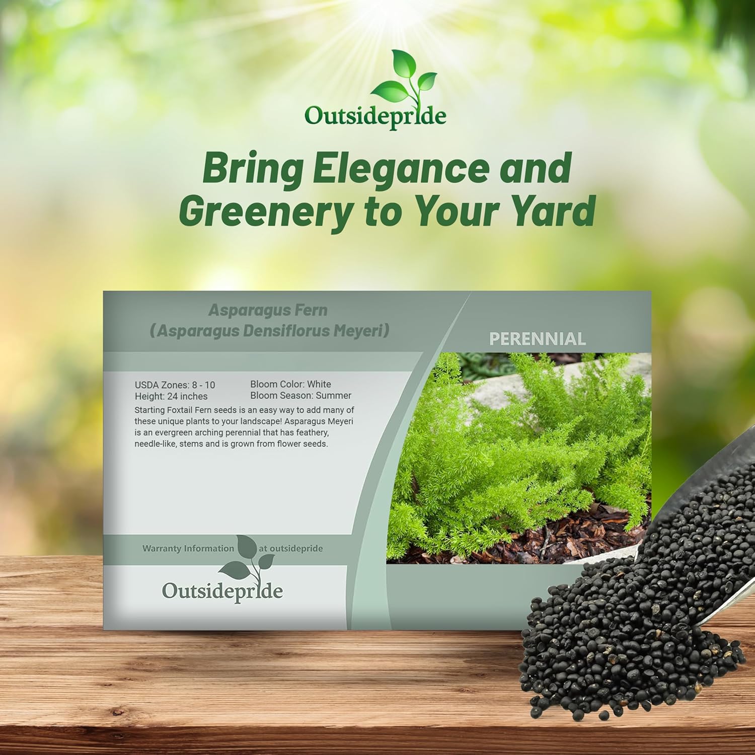 Asparagus Fern Meyeri Seed Packet