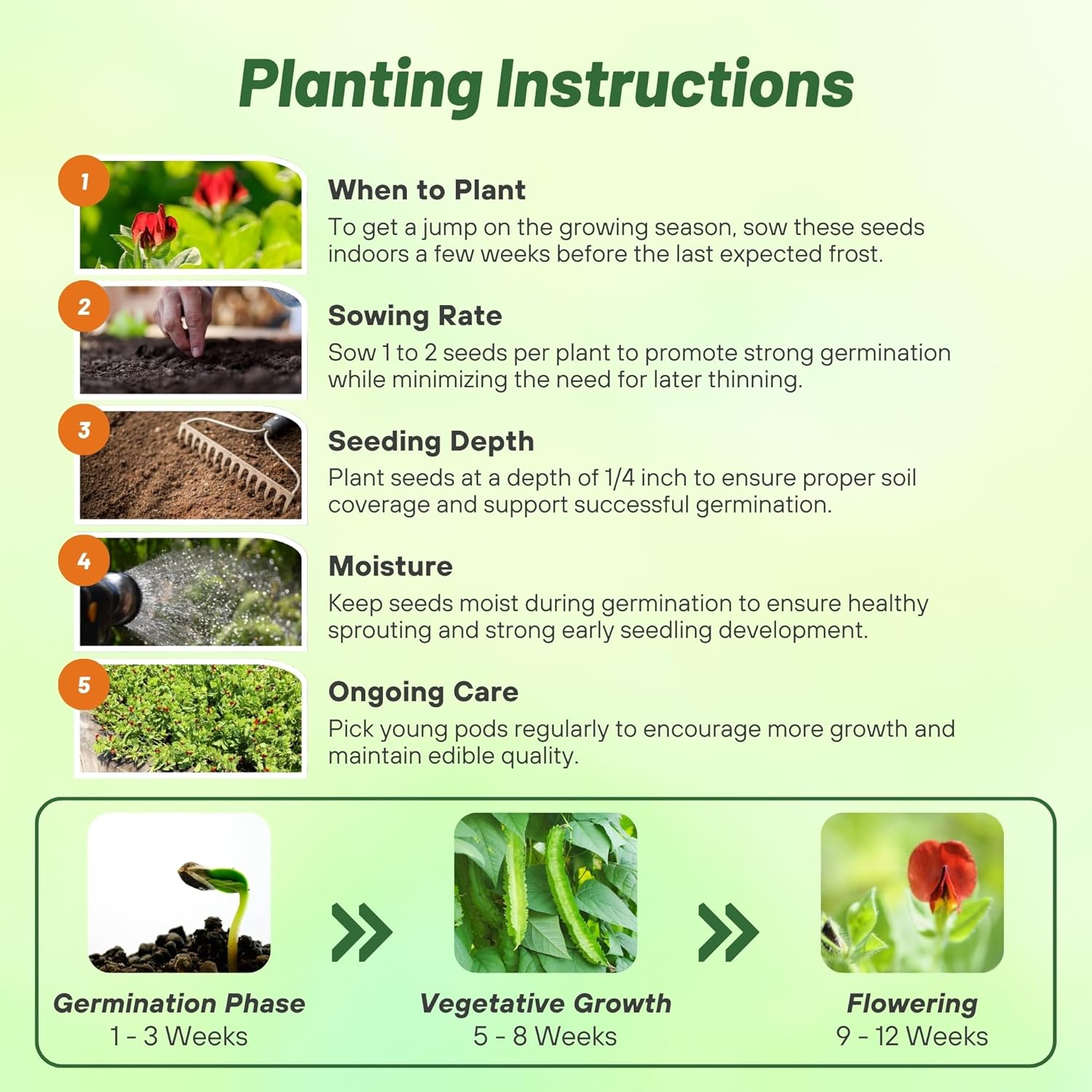 Asparagus Pea Planting Directions