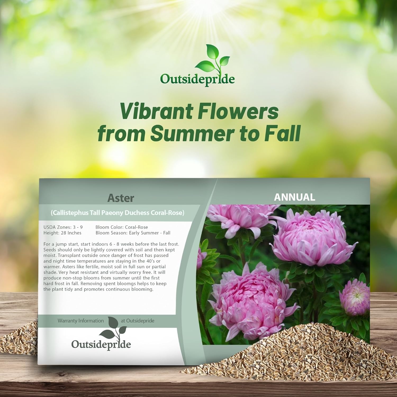 Aster Paeony Coral-rose Seed Packet