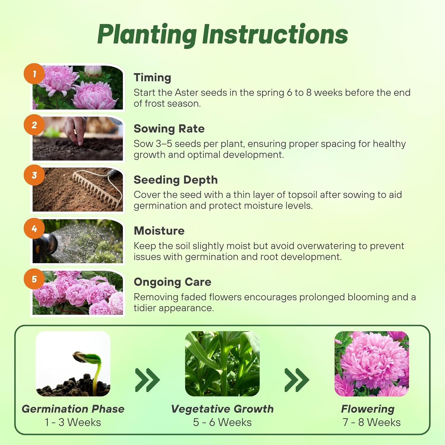 Aster Paeony Coral-rose Directions