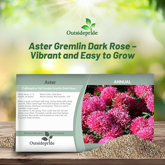 Aster Gremlin Dark Rose Seed Packet