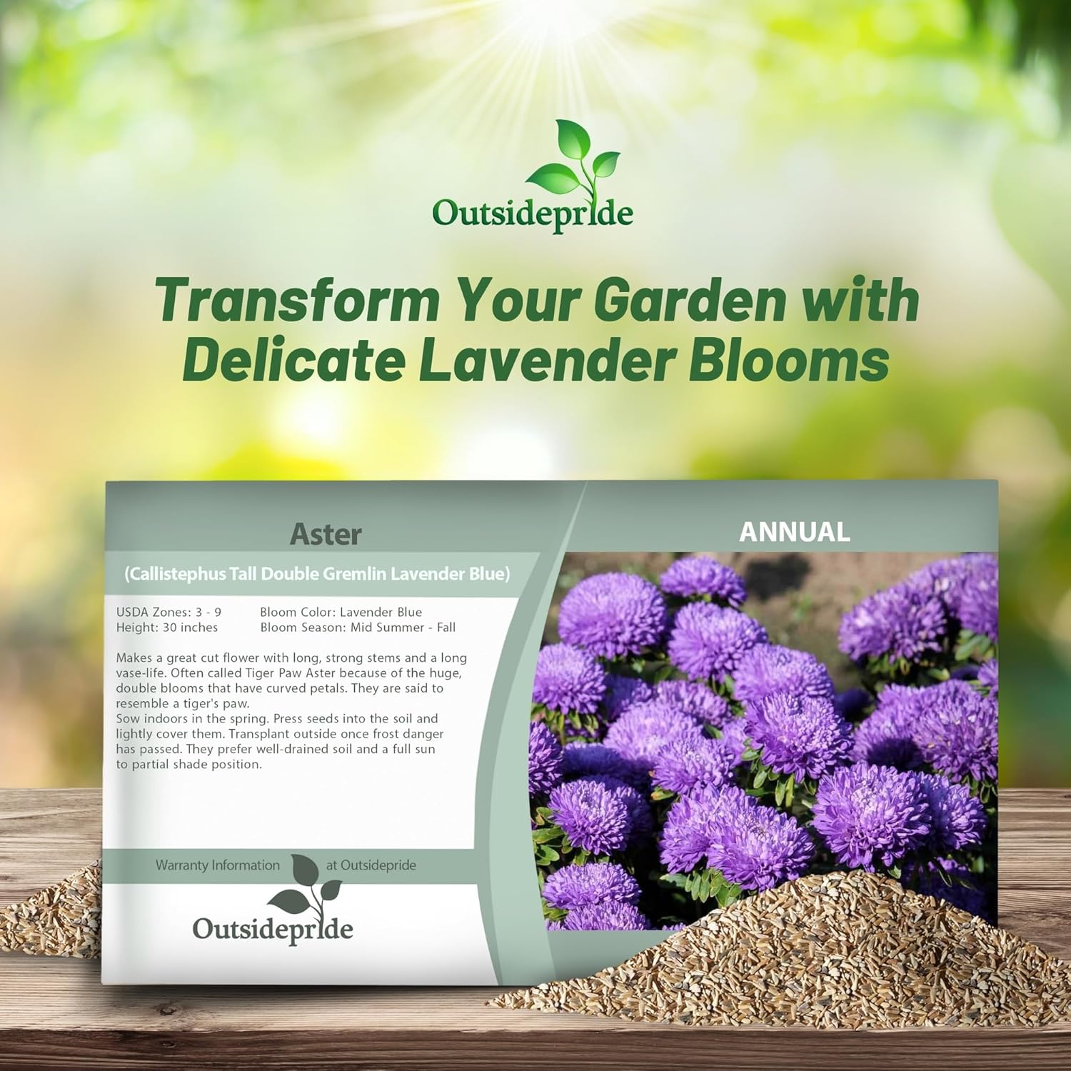 Aster Gremlin Lavender Seed Packet