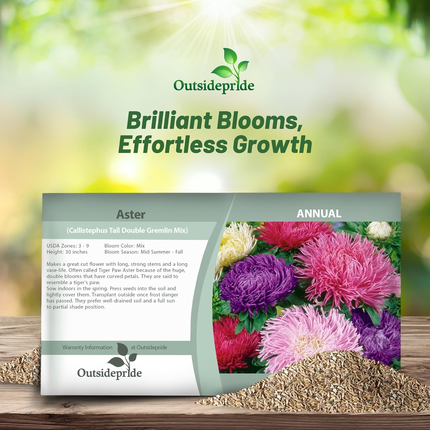 Aster Gremlin Seed Packet Mix