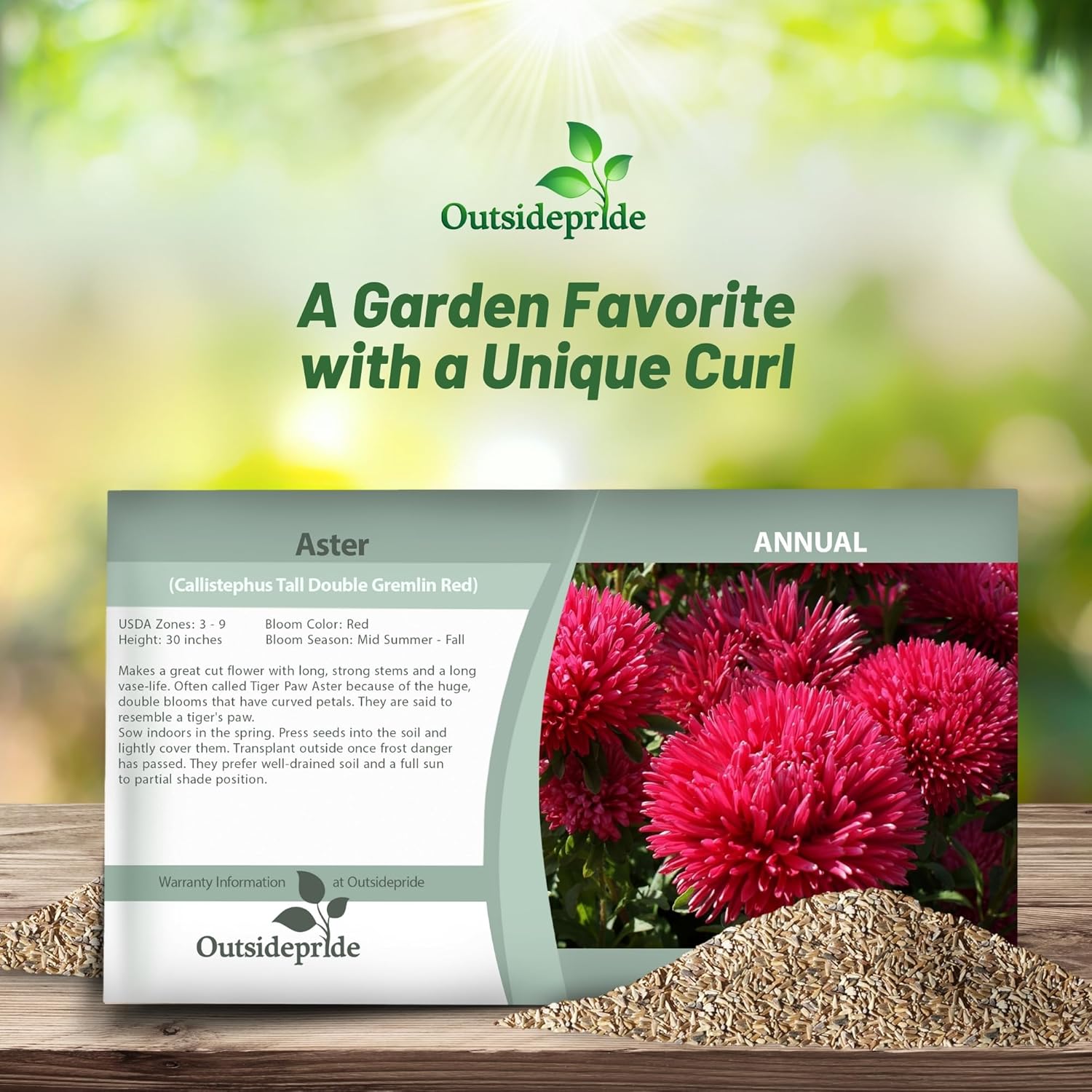 Aster Gremlin Red Seed Packet