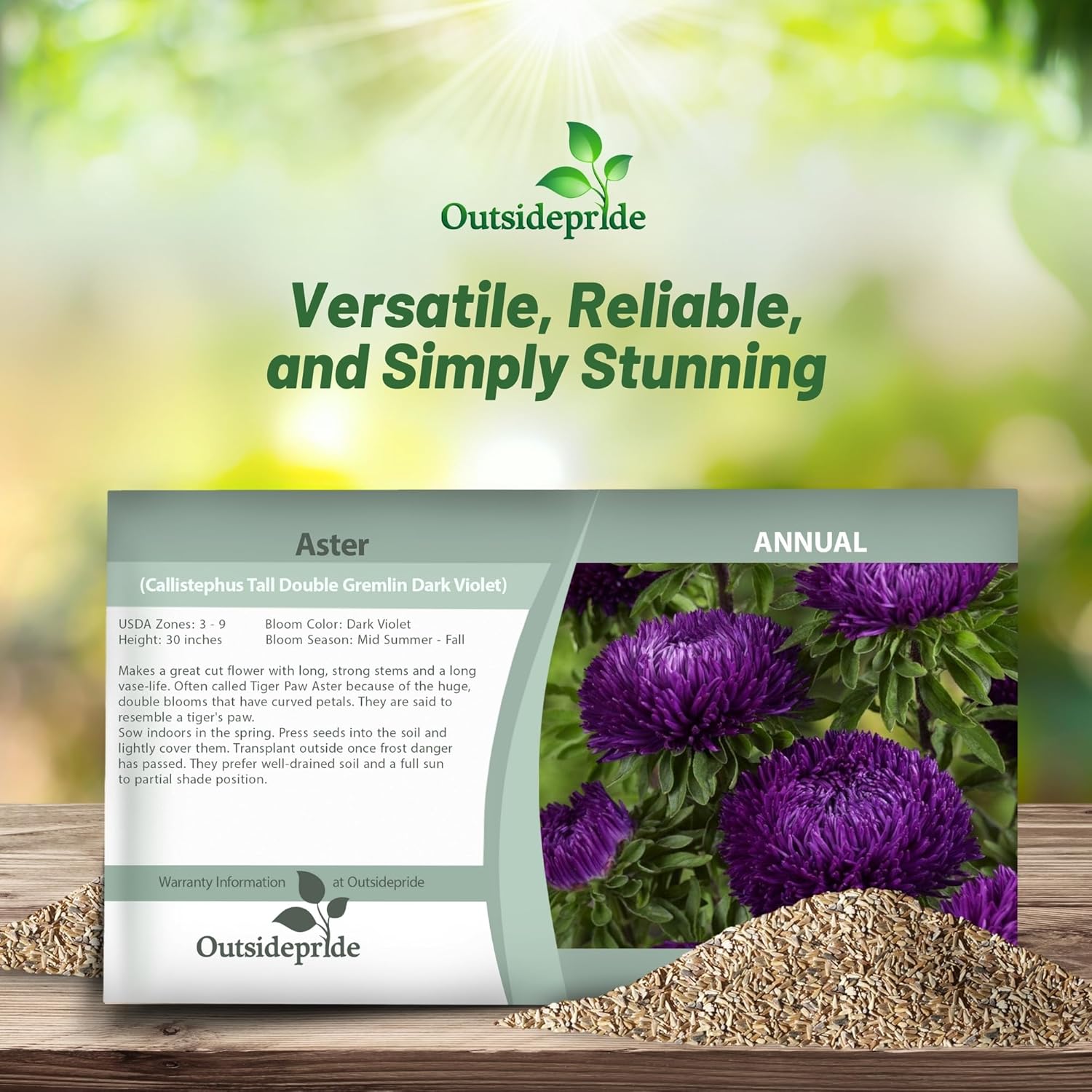 Aster Gremlin Violet Seed Packet