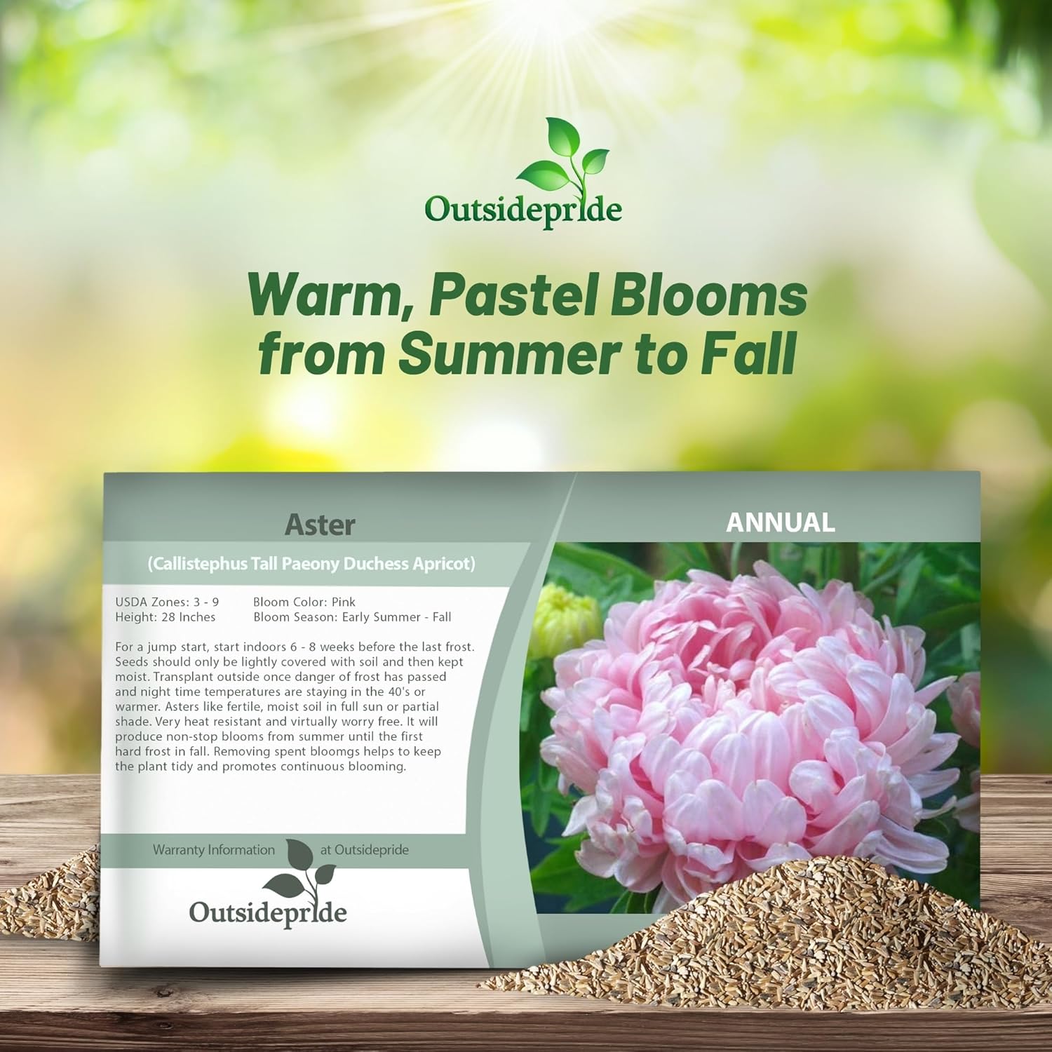 Aster Paeony Apricot Flower Seed Packet