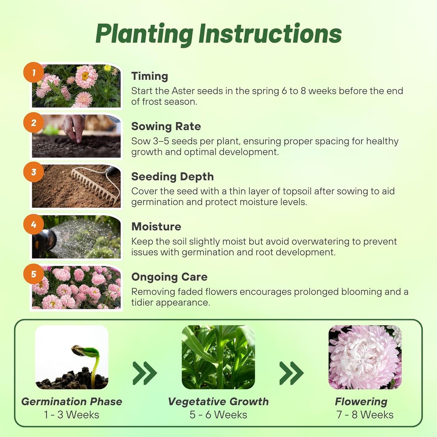 Aster Paeony Apricot Planting Directions