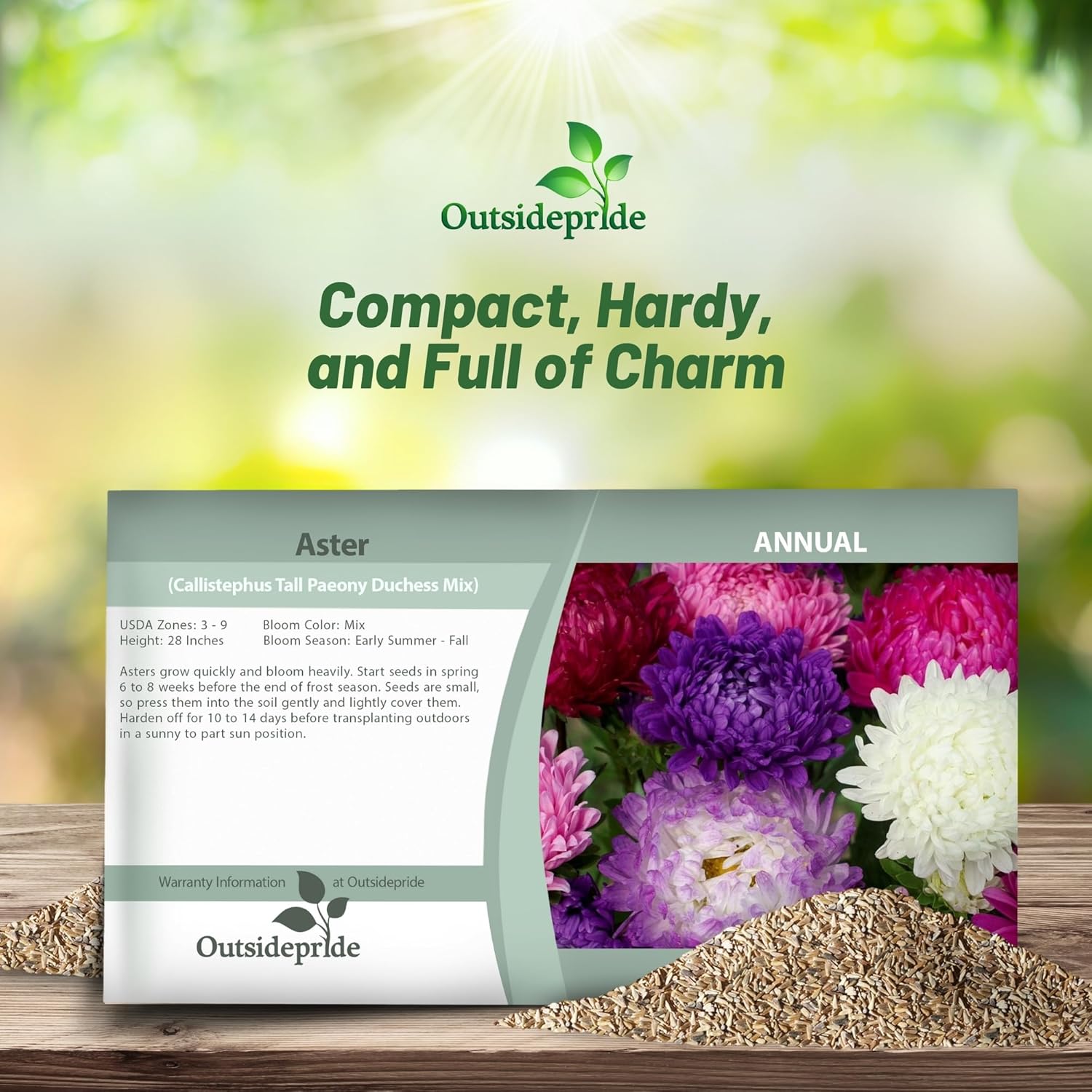 Aster Paeony Flower Seed Mix Packet