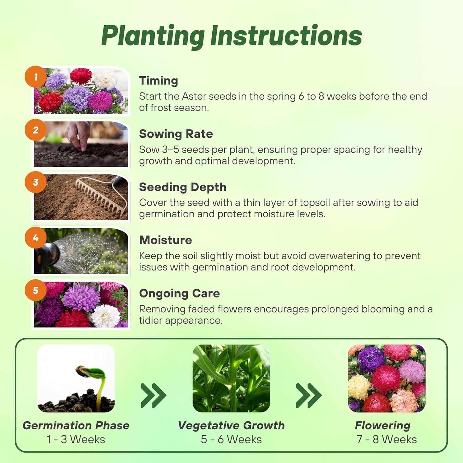Aster Paeony Flower Mix Planting Directions