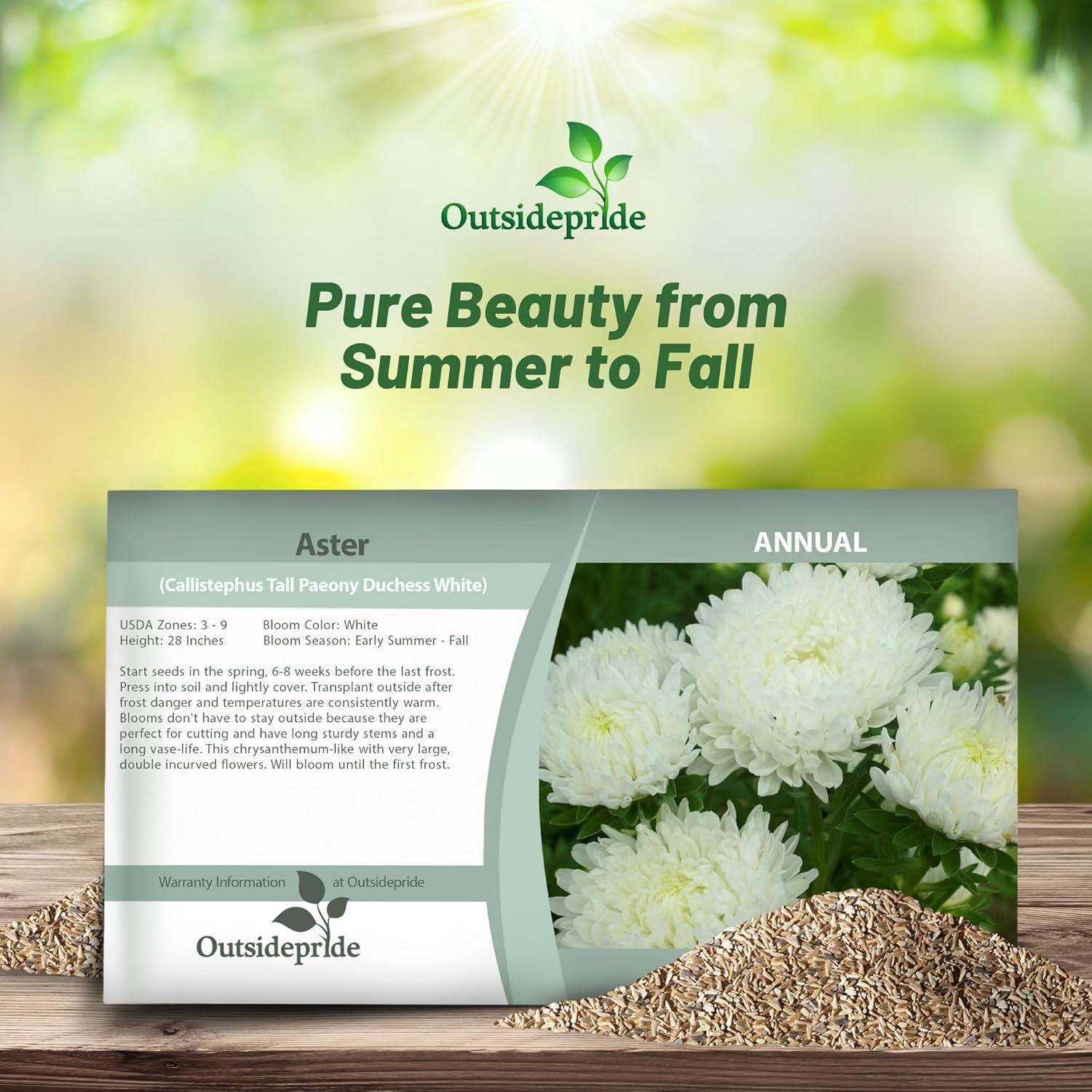 Aster Paeony White Seed Packet