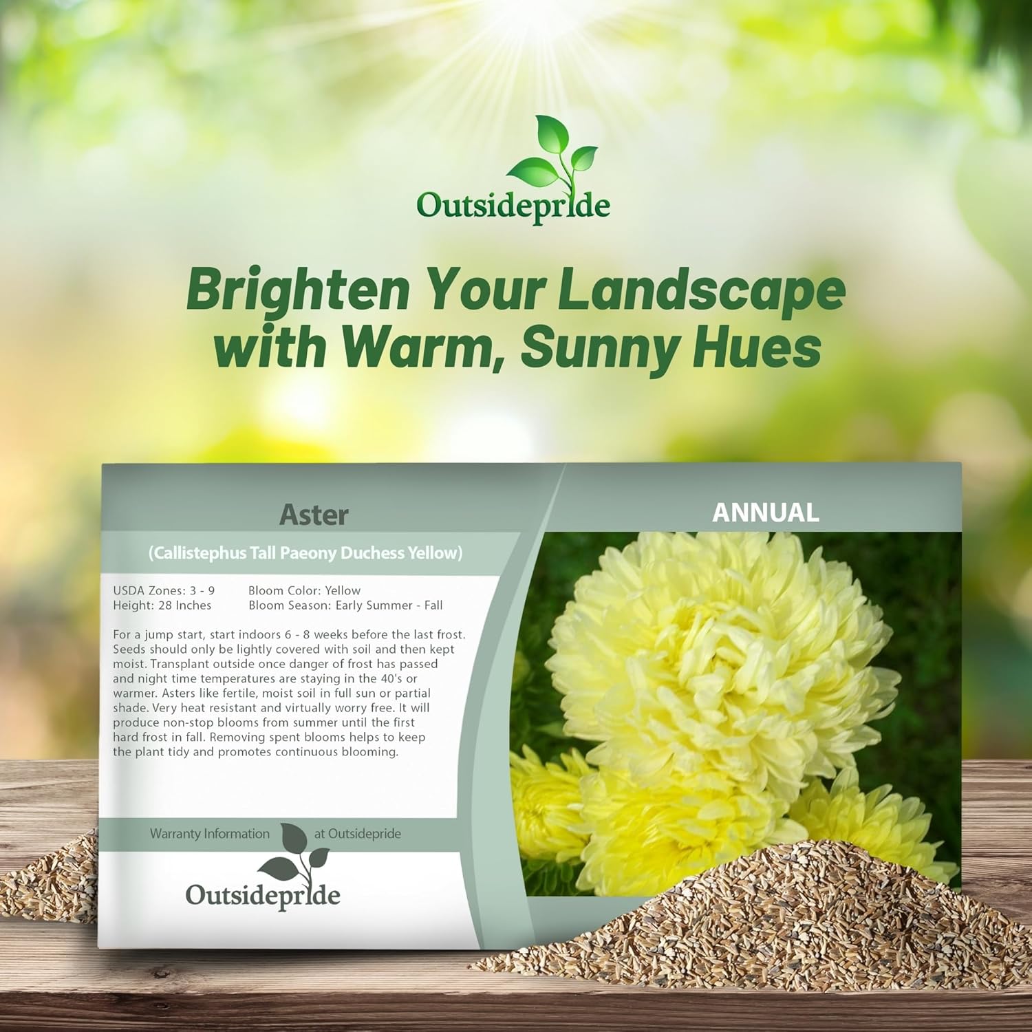Aster Paeony Yellow Seed Packet