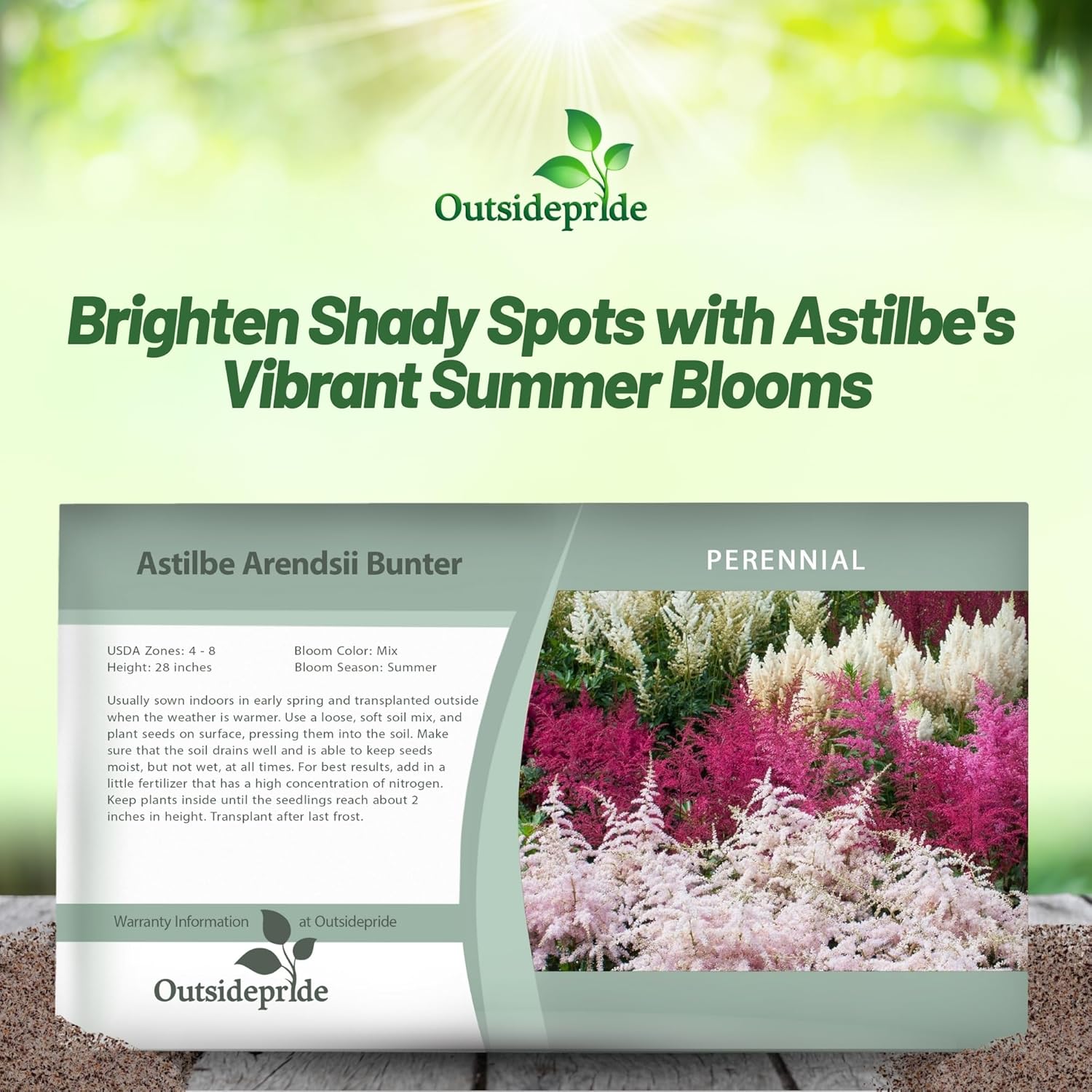 Astilbe Bunter Seed Packet Mix