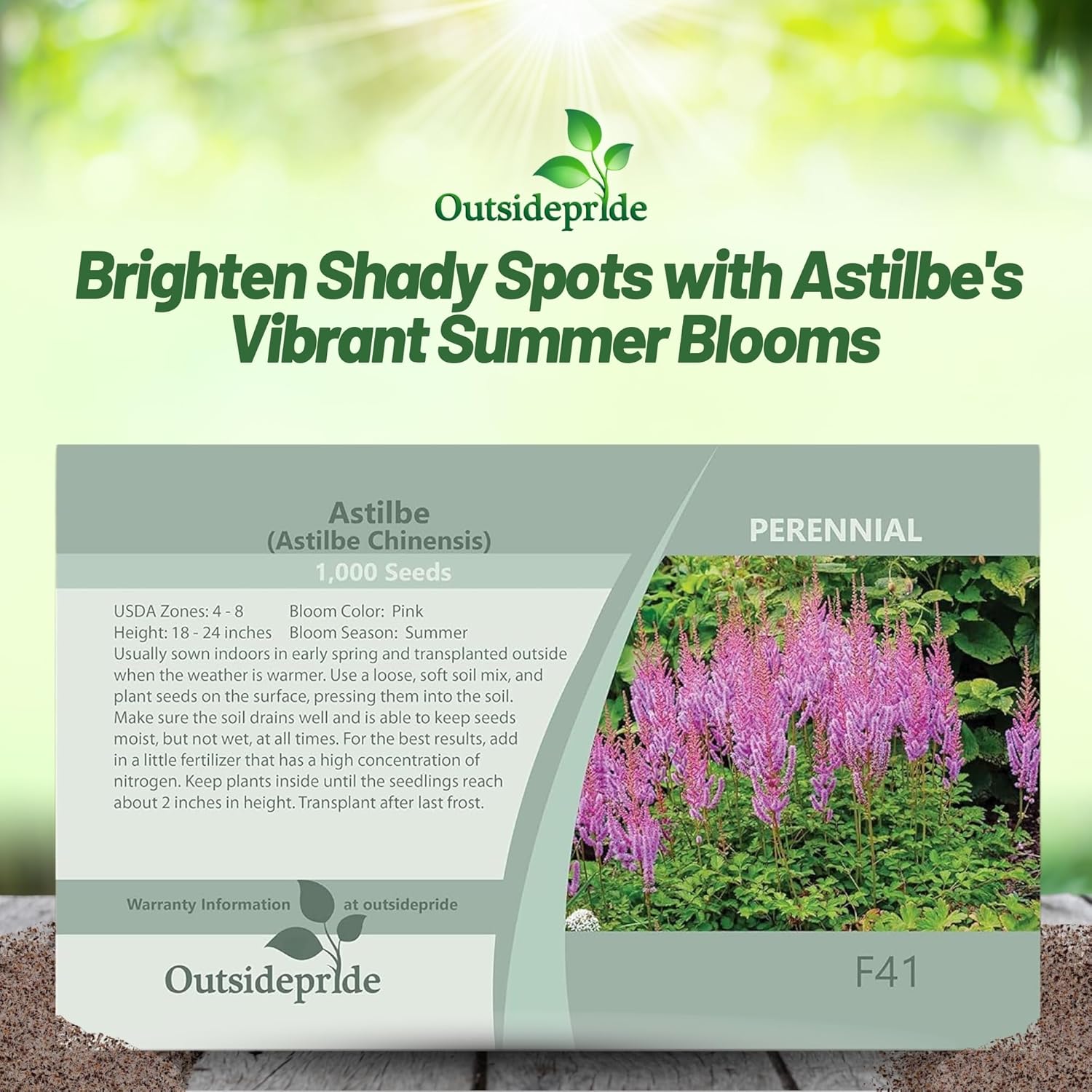 Astilbe Chinensis Flower Seed Packet
