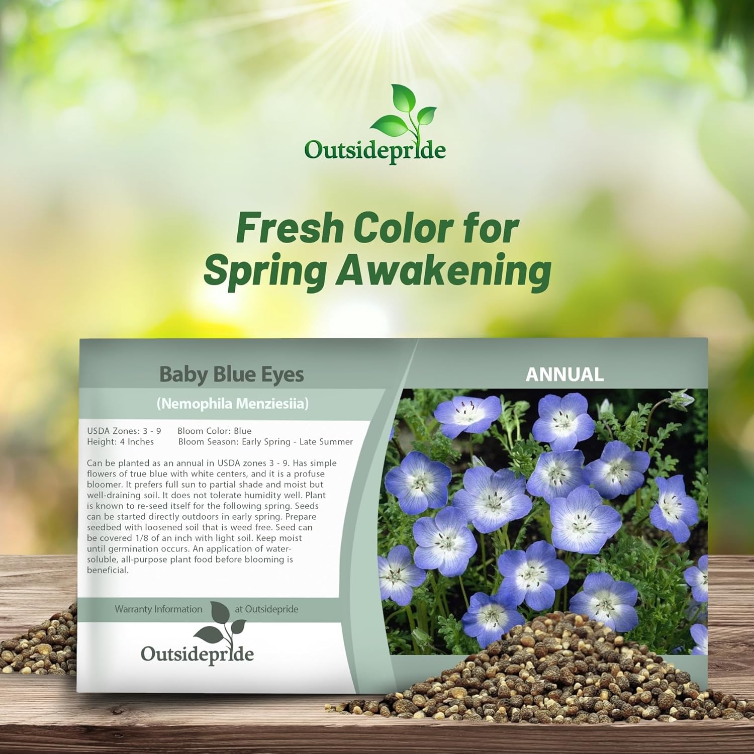 Baby Blue Eyes Seed Packet