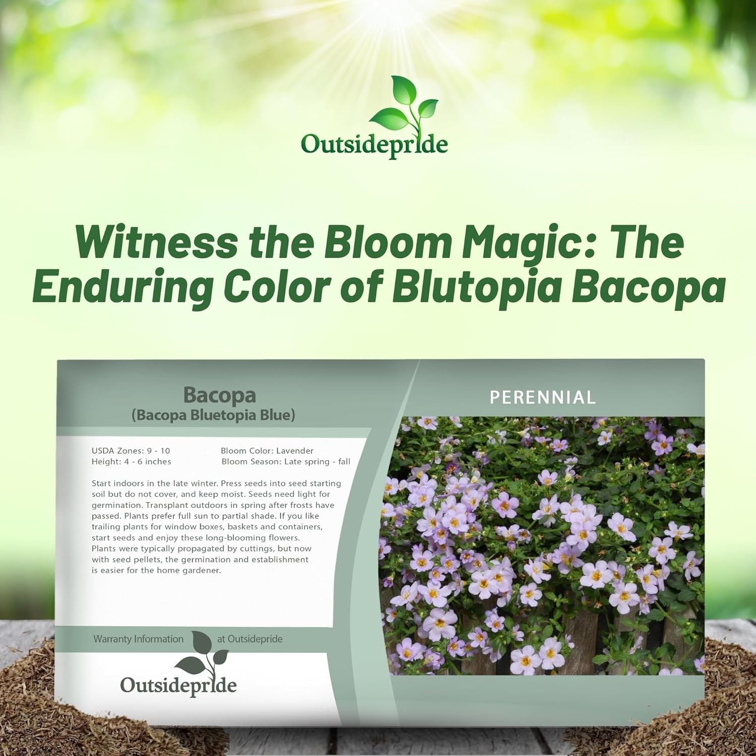 Bacopa Bluetopia Flower Seed Packet