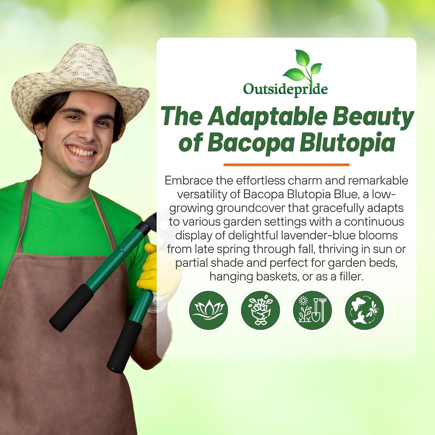 Bacopa Bluetopia Flower For Planters