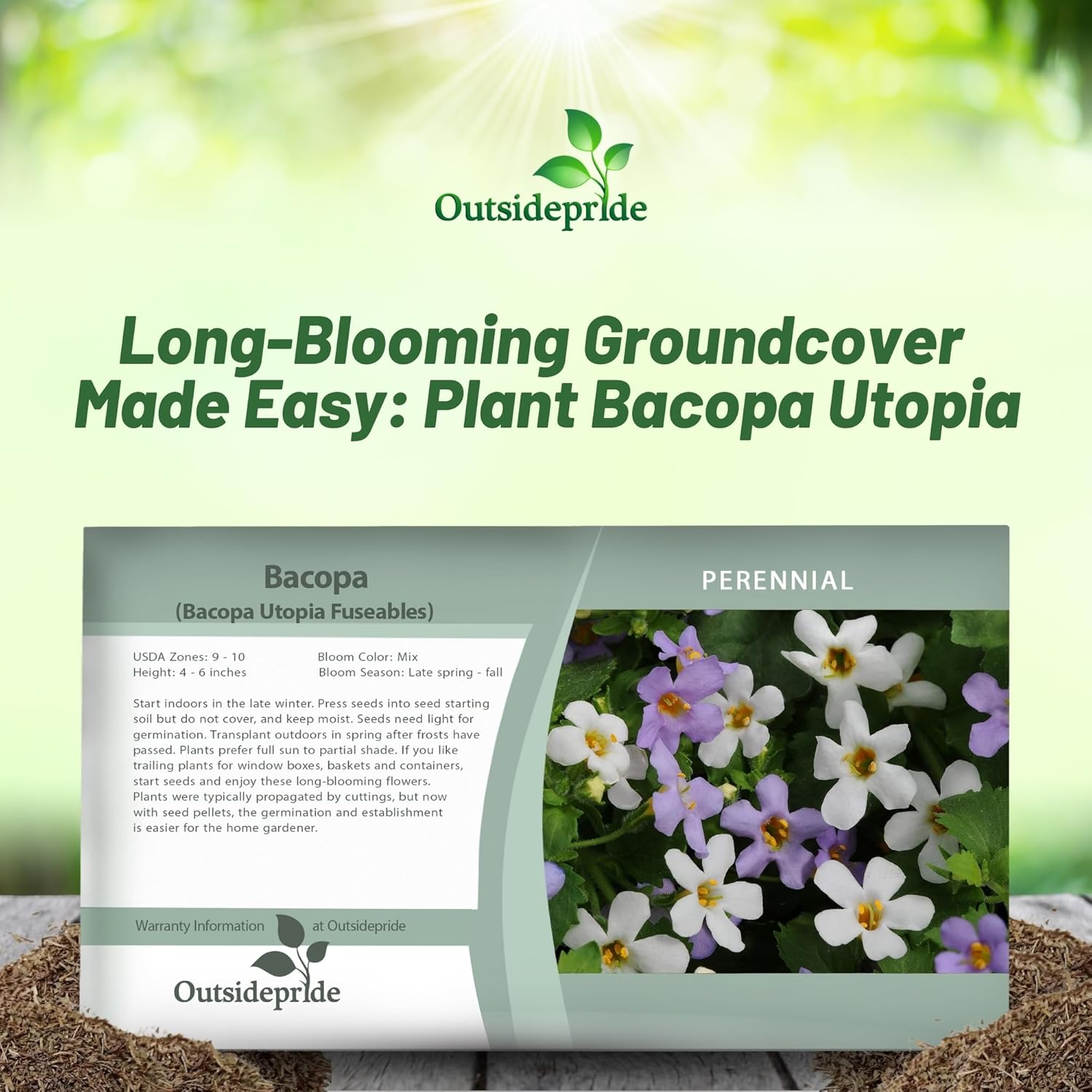 Bacopa Utopia Flower Seed Packet Mix