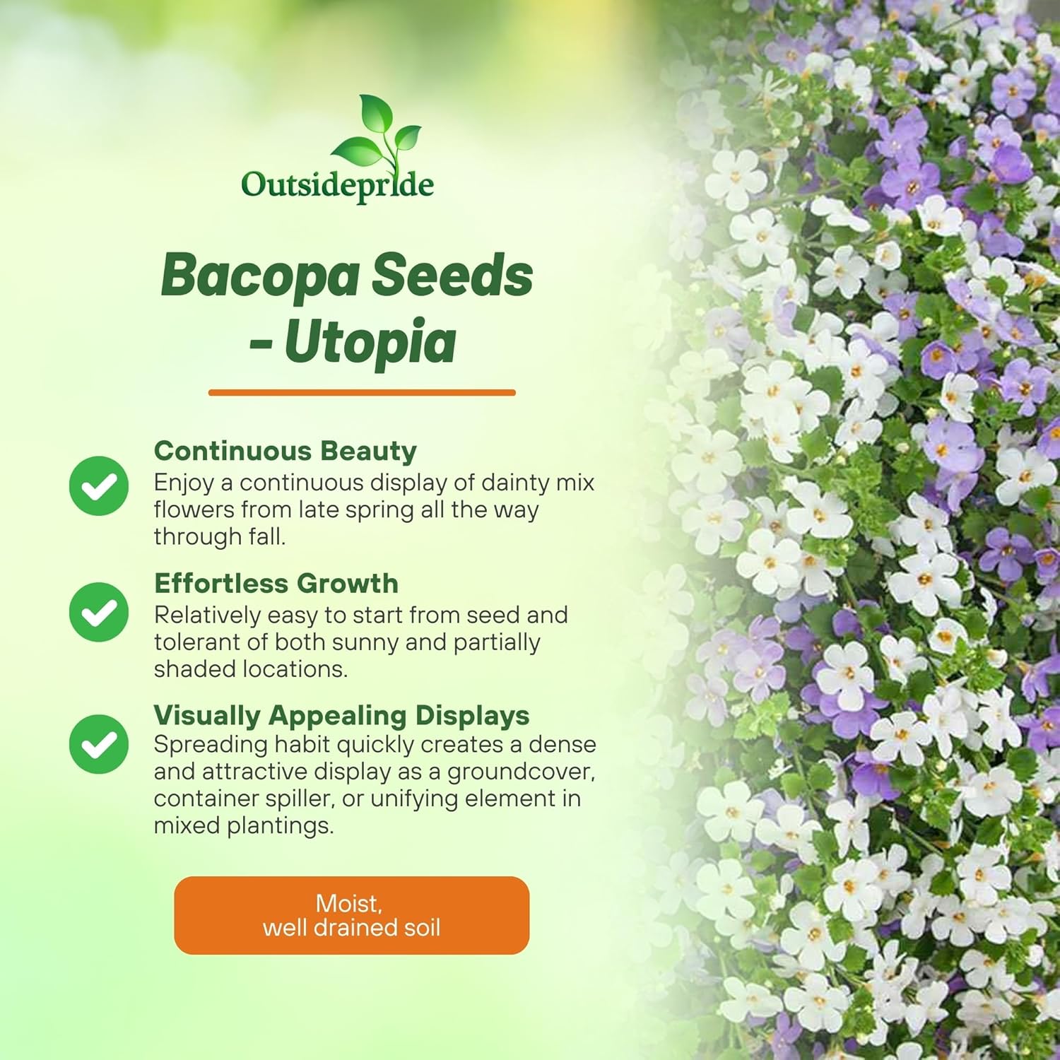 Bacopa Utopia Flower Mixture