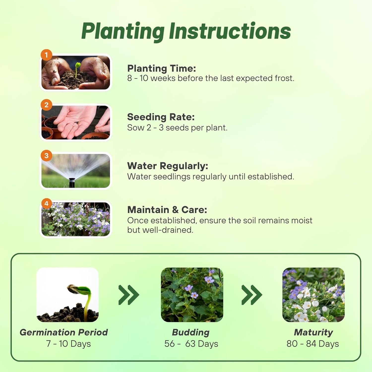 Bacopa Utopia Planting Directions