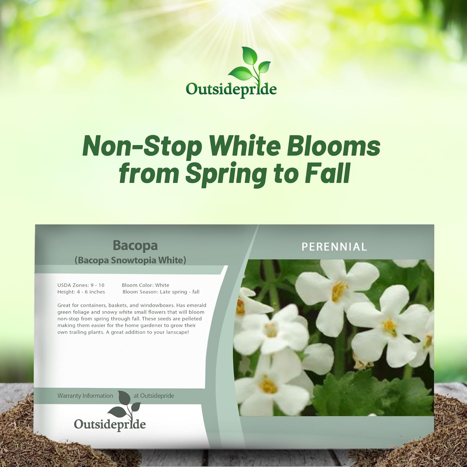 Bacopoa Snowtopia Seed Packet