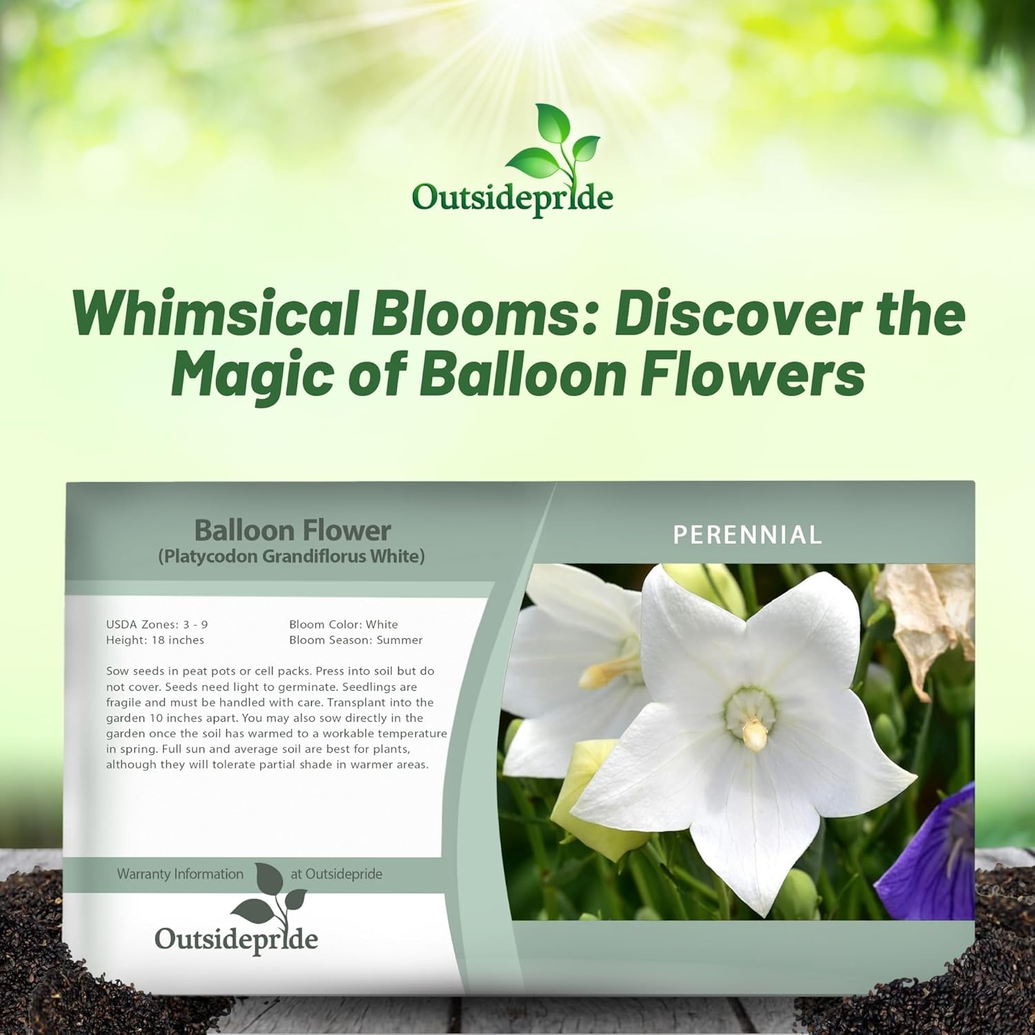 Balloon Flower White Seed Packet