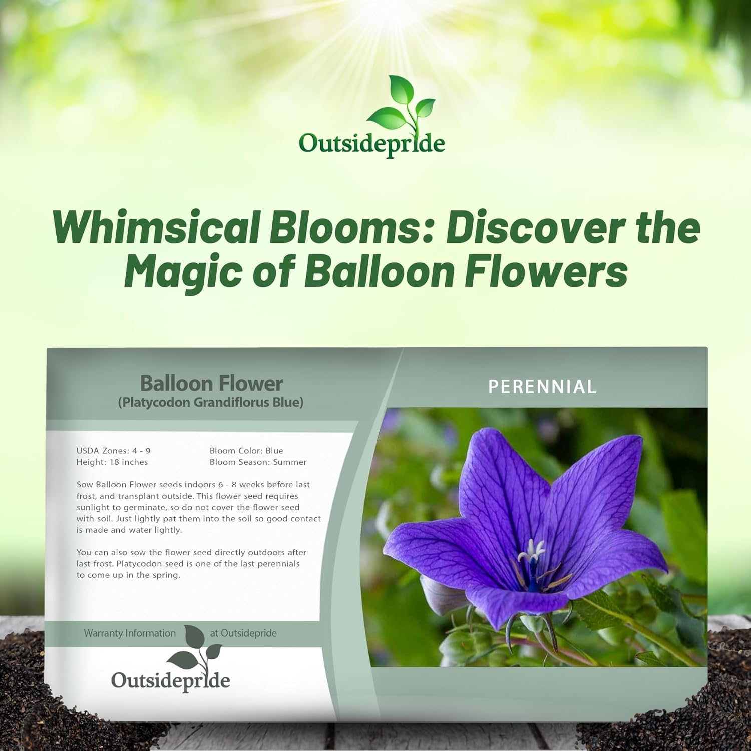 Balloon Flower Blue Seed Packet
