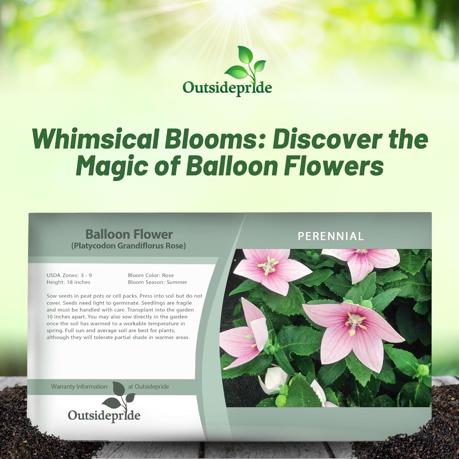 Balloon Flower Rose Seed Packet