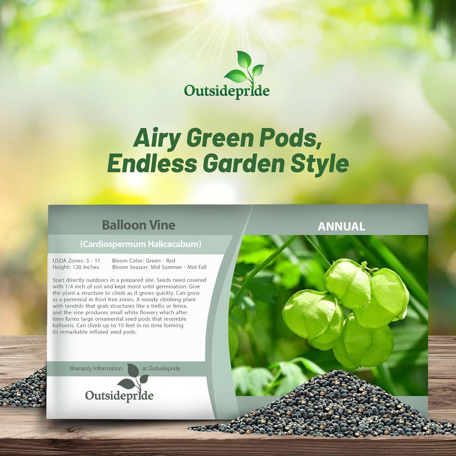 Balloon Vine Seed Packet