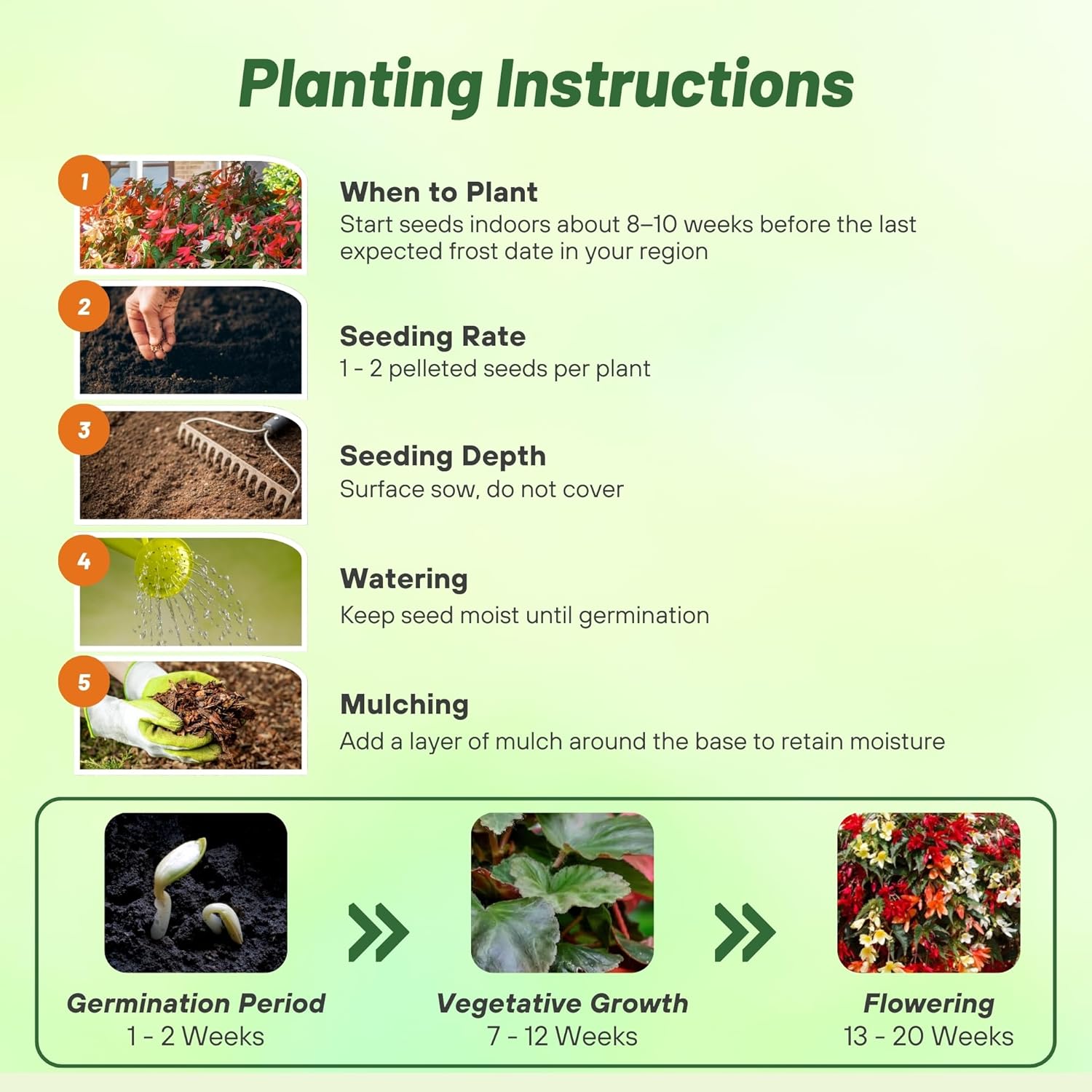 Begonia Groovy Seed Mixture Planting Directions