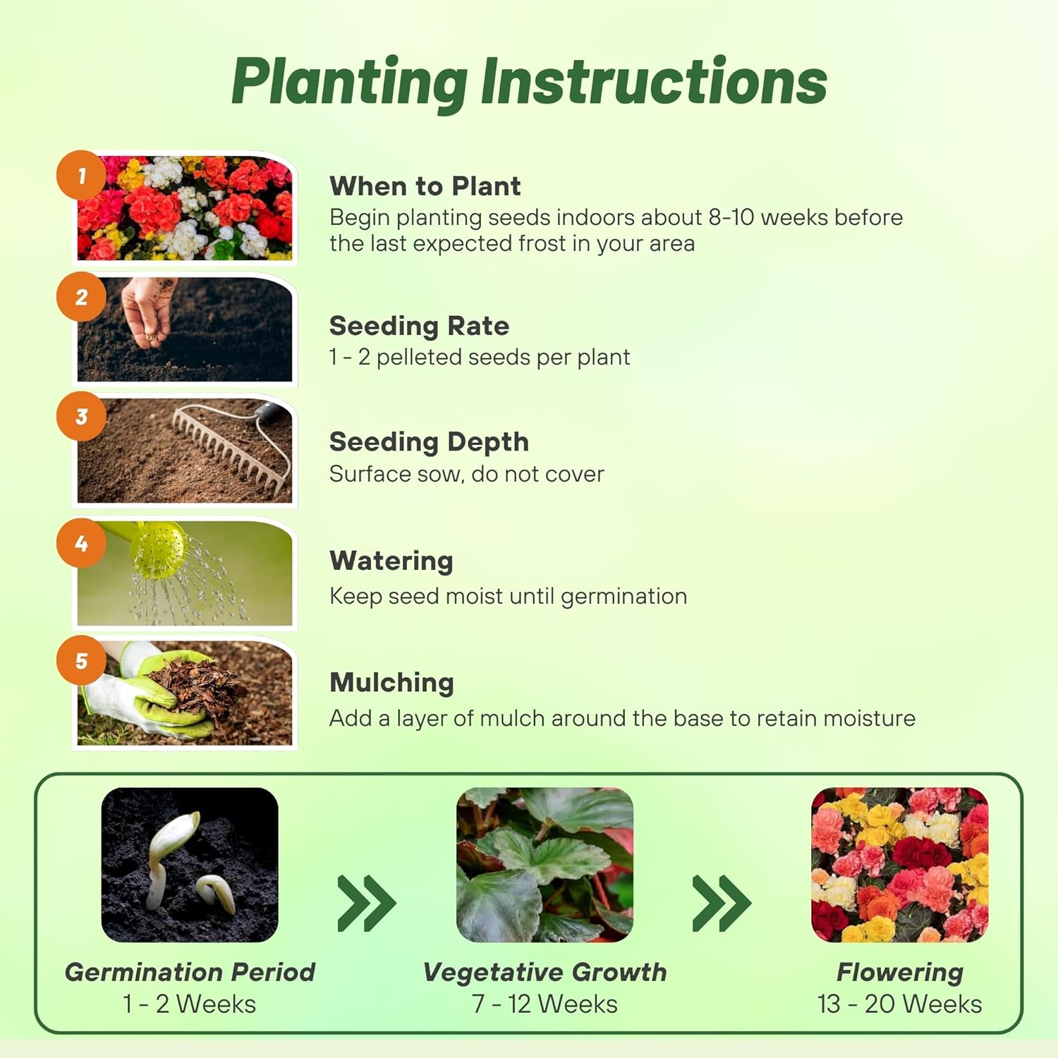 Begonia Limitless Mix Planting Directions