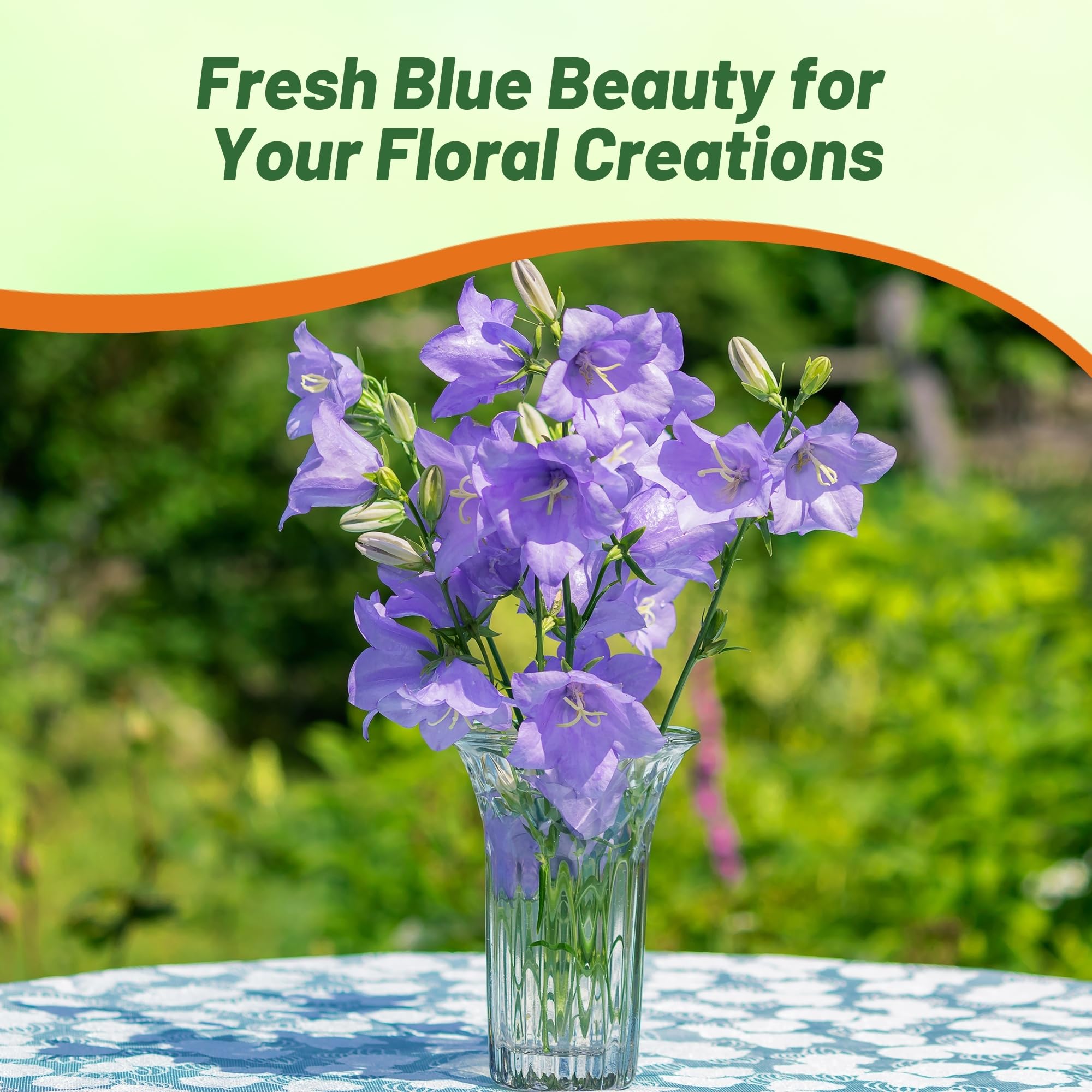 Bellflower Peach-Leaved Blue