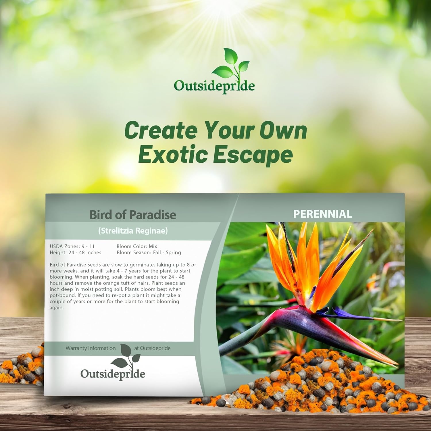 Bird of Paradise Flower Seed Packet