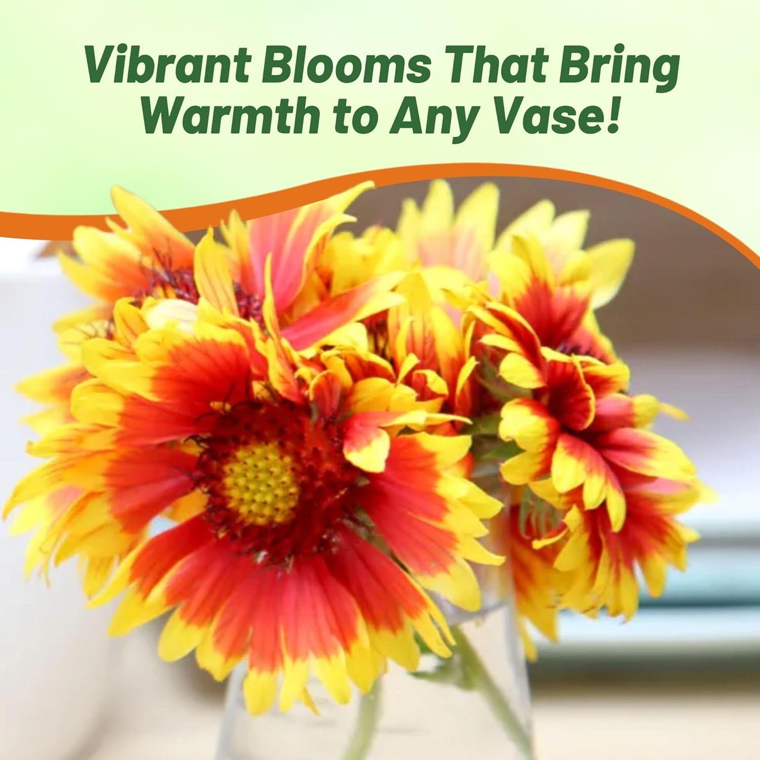 Blanket Flower Wildflower Seed