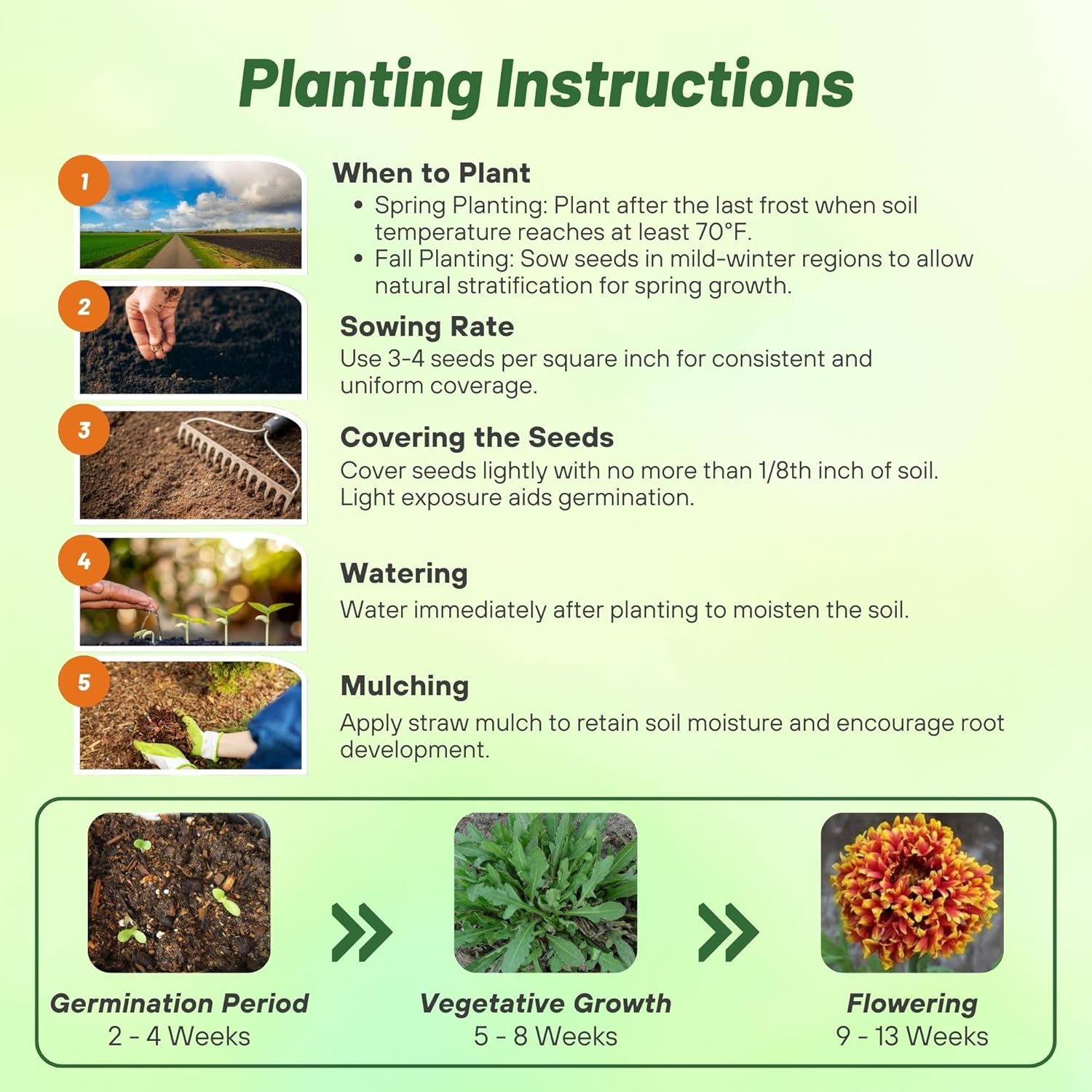 Gaillardia Pulchella Bicolor Planting Directions