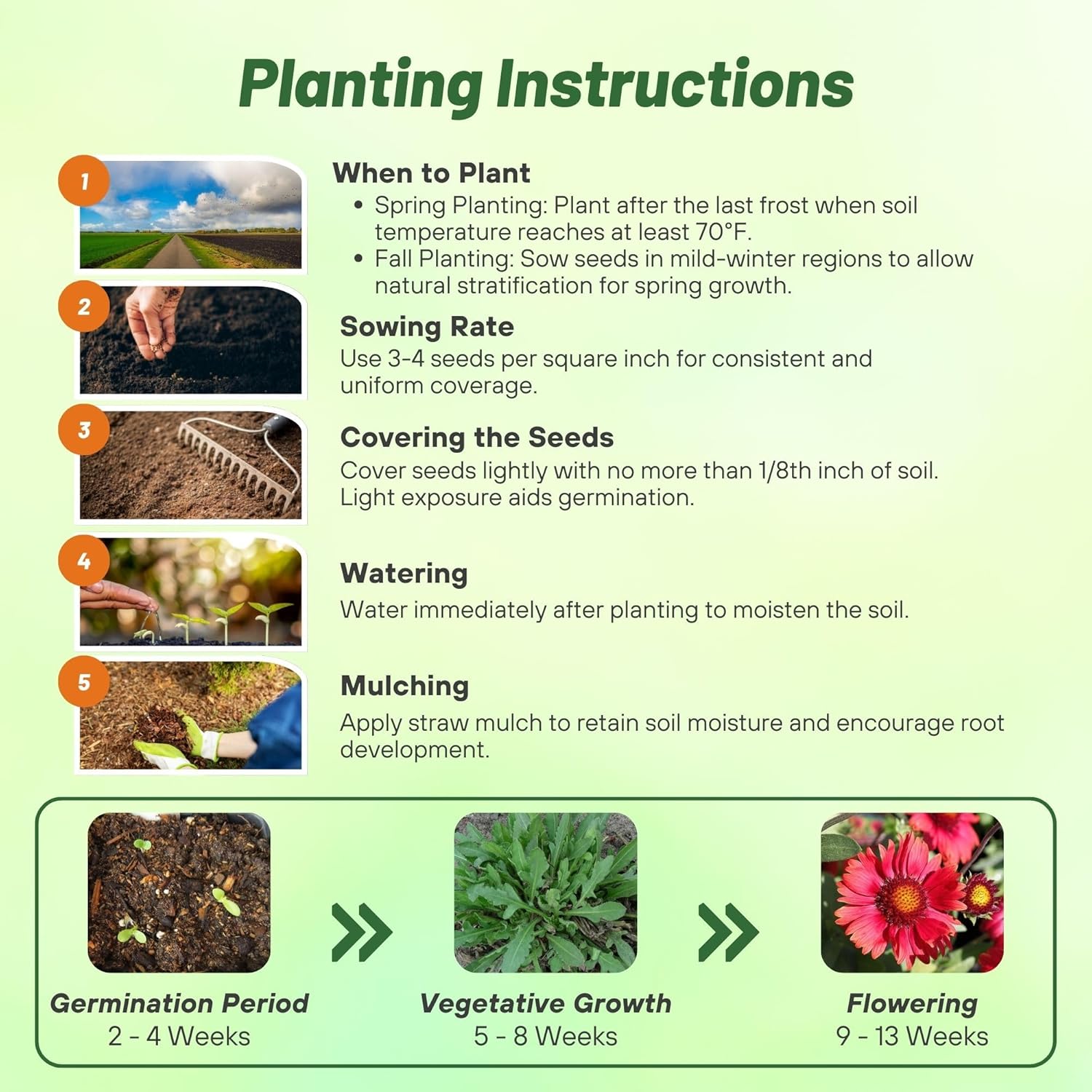 Gaillardia Mesa Red Planting Directions