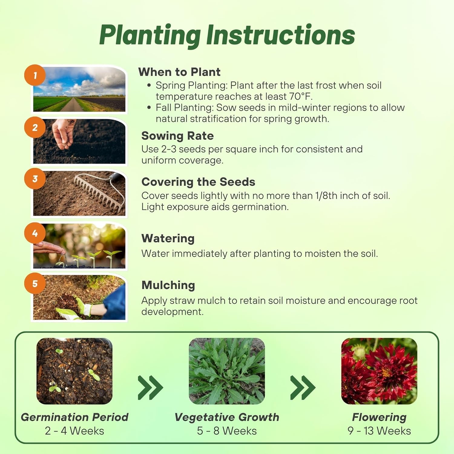 Gaillardia Pulchella Red Planting Directions