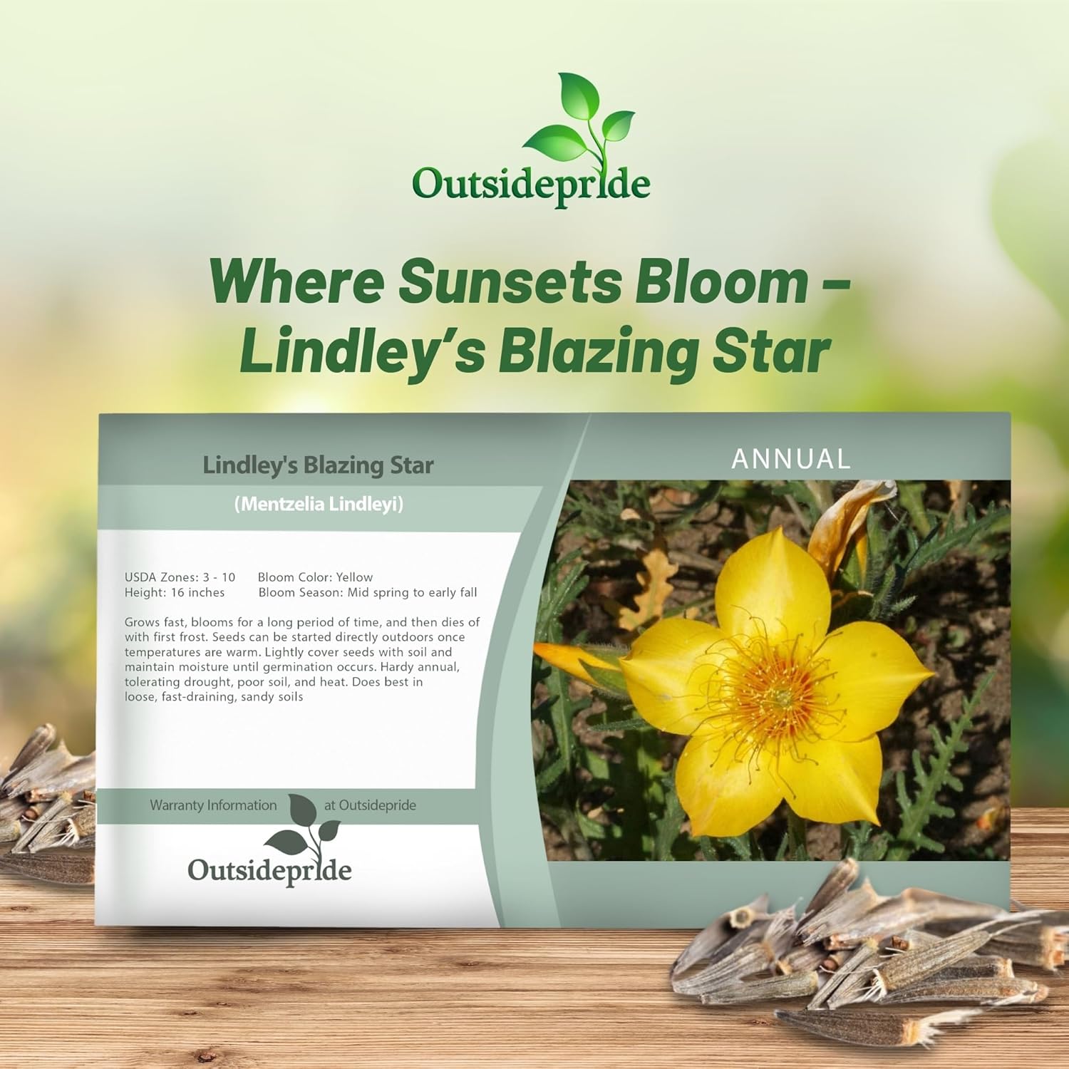 Blazing Star Flower Seed Packet