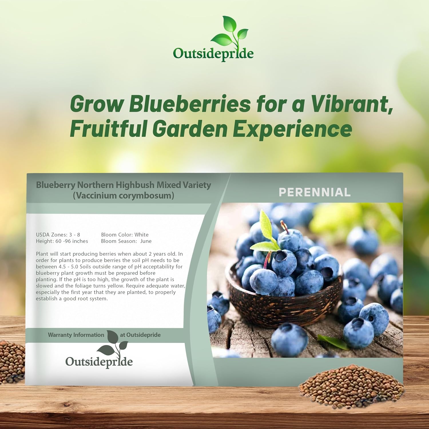 Vaccinium corymbosum Fruit Seed Packet