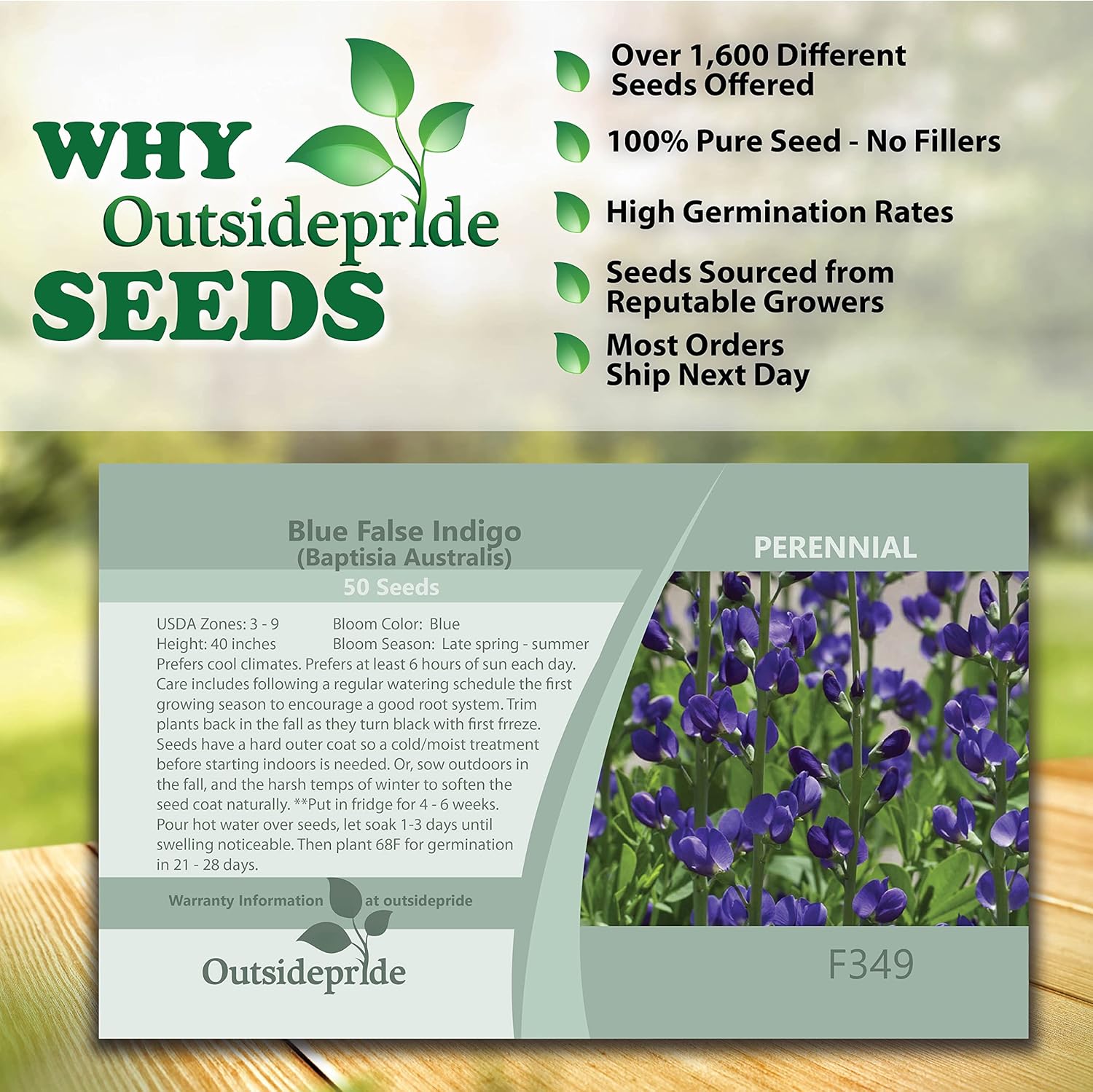 Blue False Indigo Seed Packet